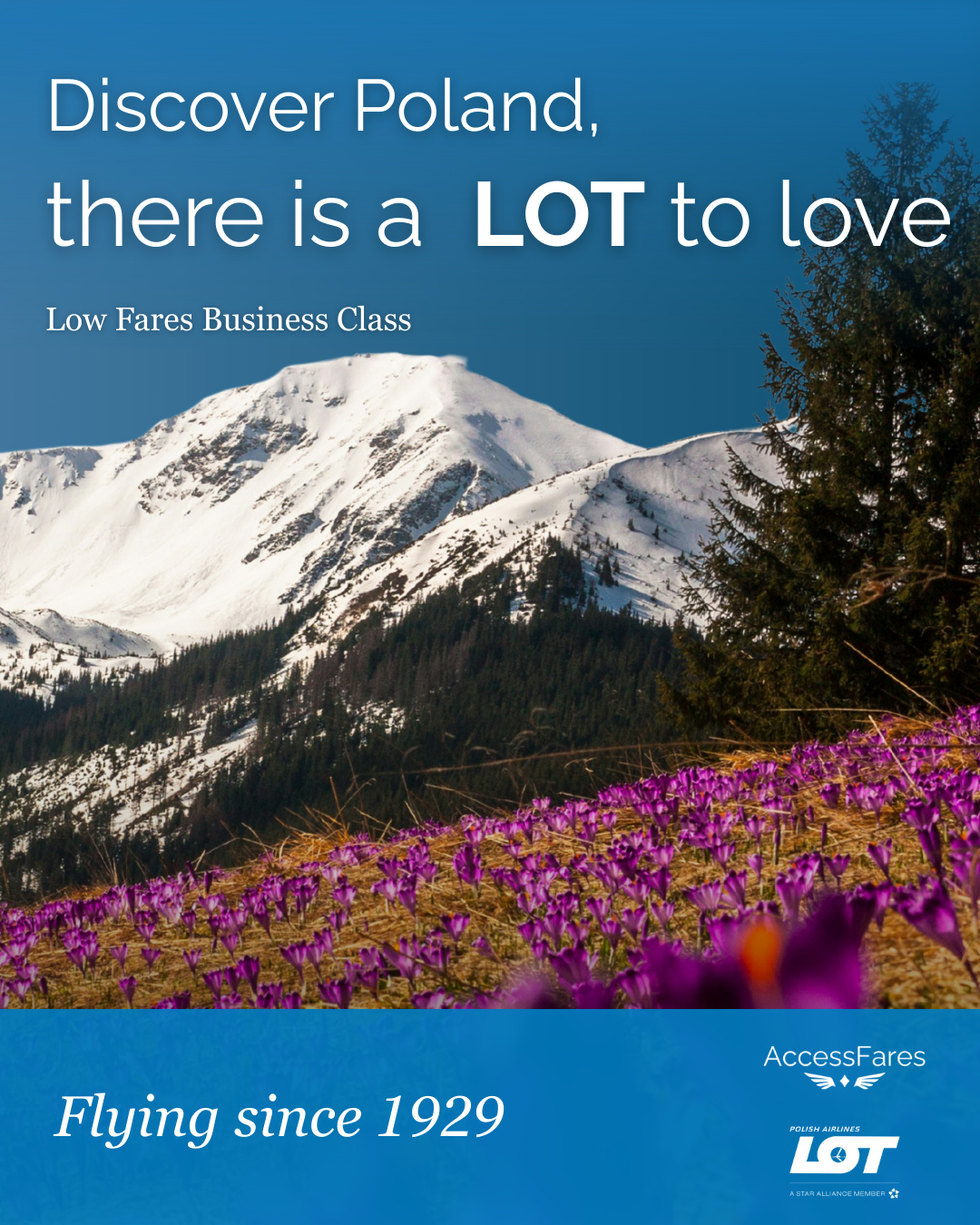 Discover Poland with a carrier that’s been perfecting the journey since 1929 ✨ Business class comfort, timeless service, and LOT Polish Airlines leading the way.
#travel #LOTPolishAirlines #poland #businessclass #discover