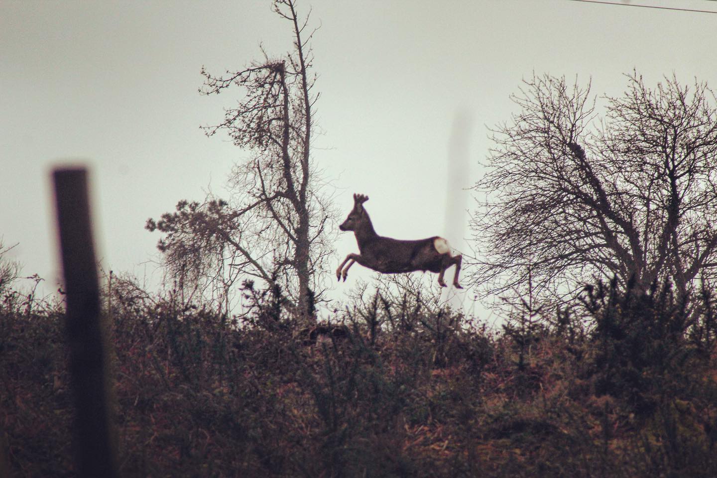 Snapped whilst out on a local walk. Making the most of our time outside. π¦ Blessed to have such amazing surroundings!
#JPDigitalMarketing