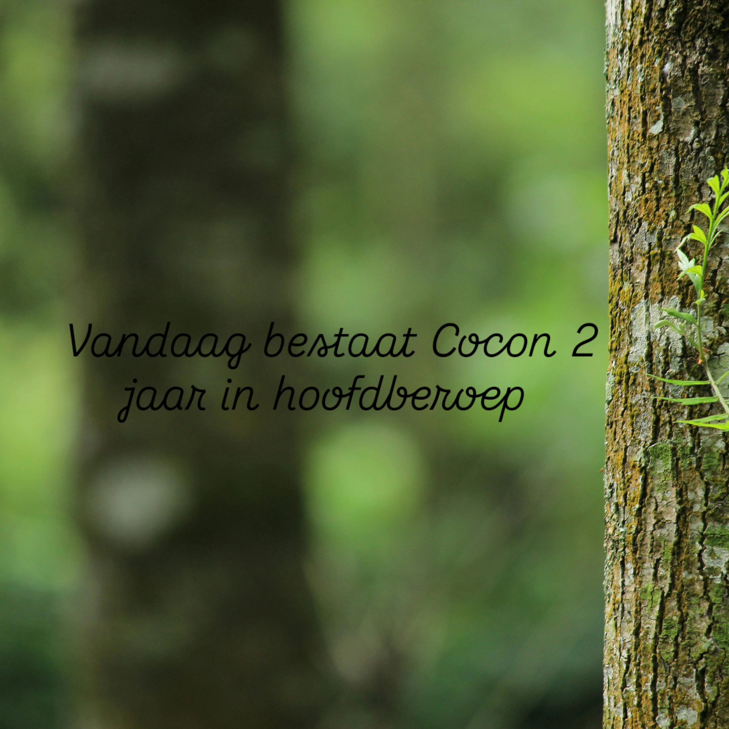 2 jaar ondernemer!
Wat ooit begon als een droom, is nu mijn dagelijkse realiteit.
Zó dankbaar dat ik ben blijven doorzetten, zelfs op de momenten vol twijfel en onzekerheid.
En vooral: dankjewel aan mijn geweldige klanten! Jullie maken werken elke dag leuk – het voelt als thuiskomen.
Ik geniet van elke sessie, van de connectie, de groei, en onze fijne wisselwerking.
Op naar nog véél meer mooie momenten samen!
#coconmoment #dankbaar #ondernemendemadammen #2800mechelen #droogsnit #schoonheidssalon #makeupartist #bridalhair #hoogsensitief #neurodivergent