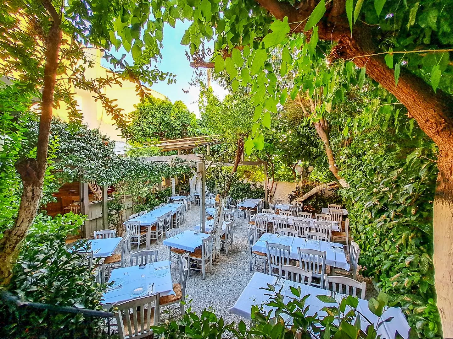Where nature meets flavor, summer finds its taste.
.
.
.
.
.
.
#kouvelos #koukaki #athensrestaurants #secretgarden #oldtimeclassic #dinner #underthetrees #greekcuisine