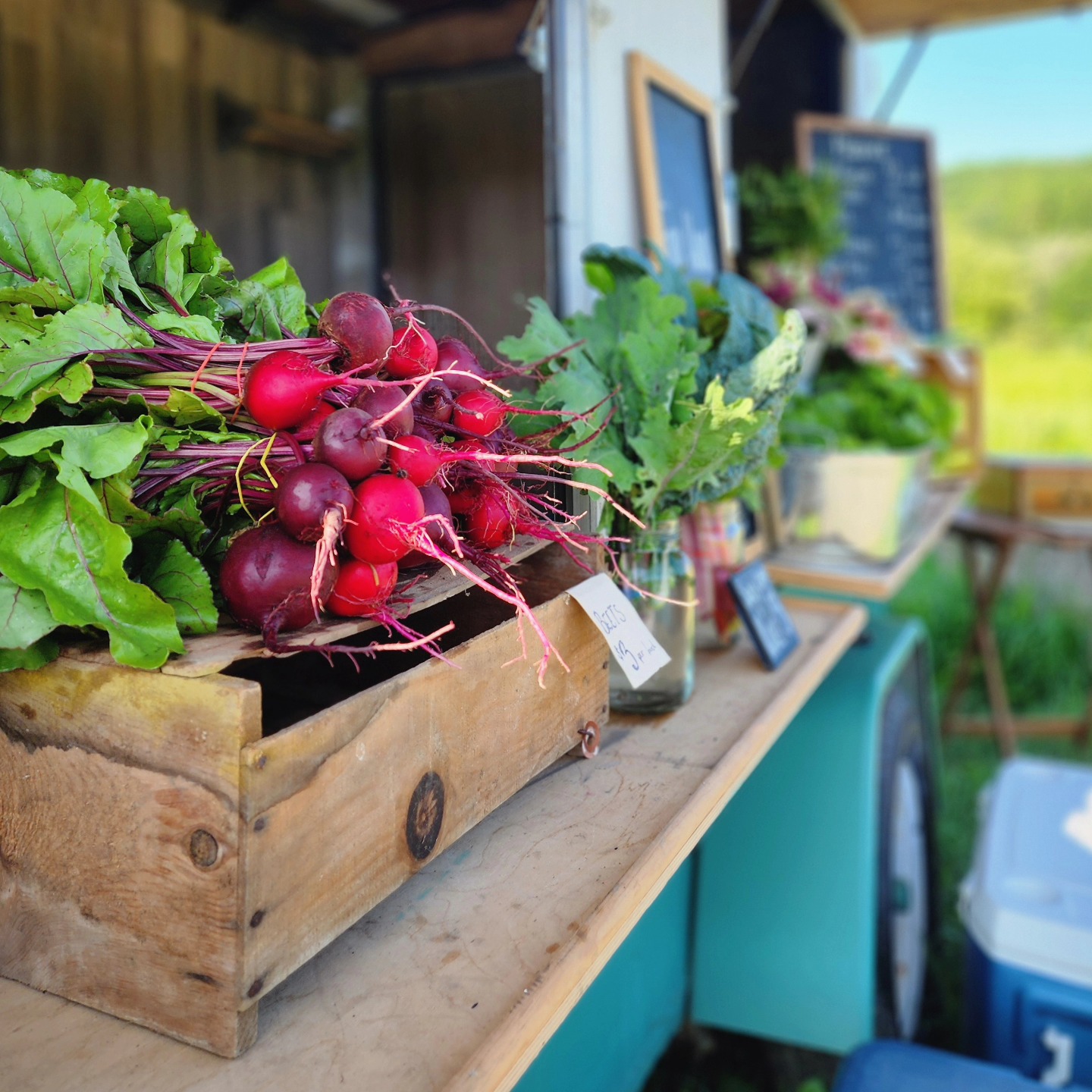 The Four Hands Farm Stand is open! The midsummer veggies are fresh and looking FINE. šš¼ Open until 1 over here at 6296 Meadows Road in Dewittville!