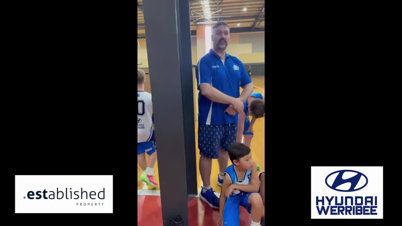 Two weeks back and the Western Wildcats havenโt missed a step! ๐ฅ๐๐ฉต
Theyโre still tearing it up โ laying buckets, breaking ankles, and making memories every time they hit the court.
If you canโt wait for this weekendโs action, check out this highlight video of the Western Wildcats lighting it up and taking it to their opponents. ๐ฅ๐
And donโt forget โ if you capture a fresh clip of our Wildcats in action, send it through! We want to see them hustle, bustle, and drop bombs all game long.
#westernwildcatsbasketball #GameTime #WildcatHustle #OnTheProwl