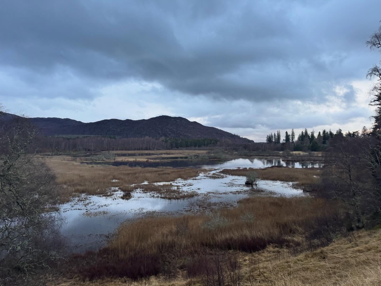 Good Morning from the Scottish Highlands 🏴
If you have ever wanted to explore this area more, there are a few places available on the May trip
https://www.yorkietalkies.co.uk/event-details/may-cairngorms-summer-adventure-scotland-2
#getoutside #scotland #scotland_greatshots