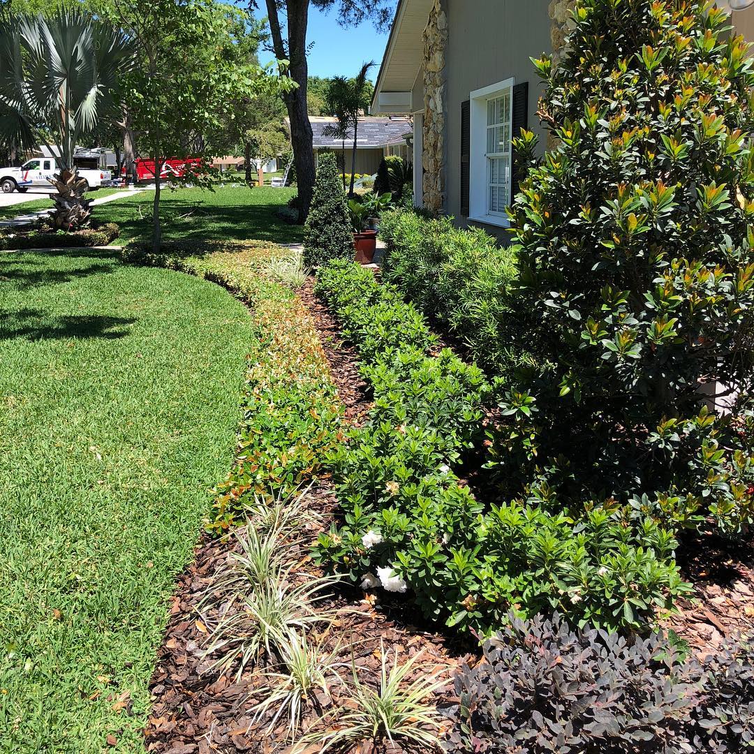 Newly designed front yard #maitland #maitlandfl