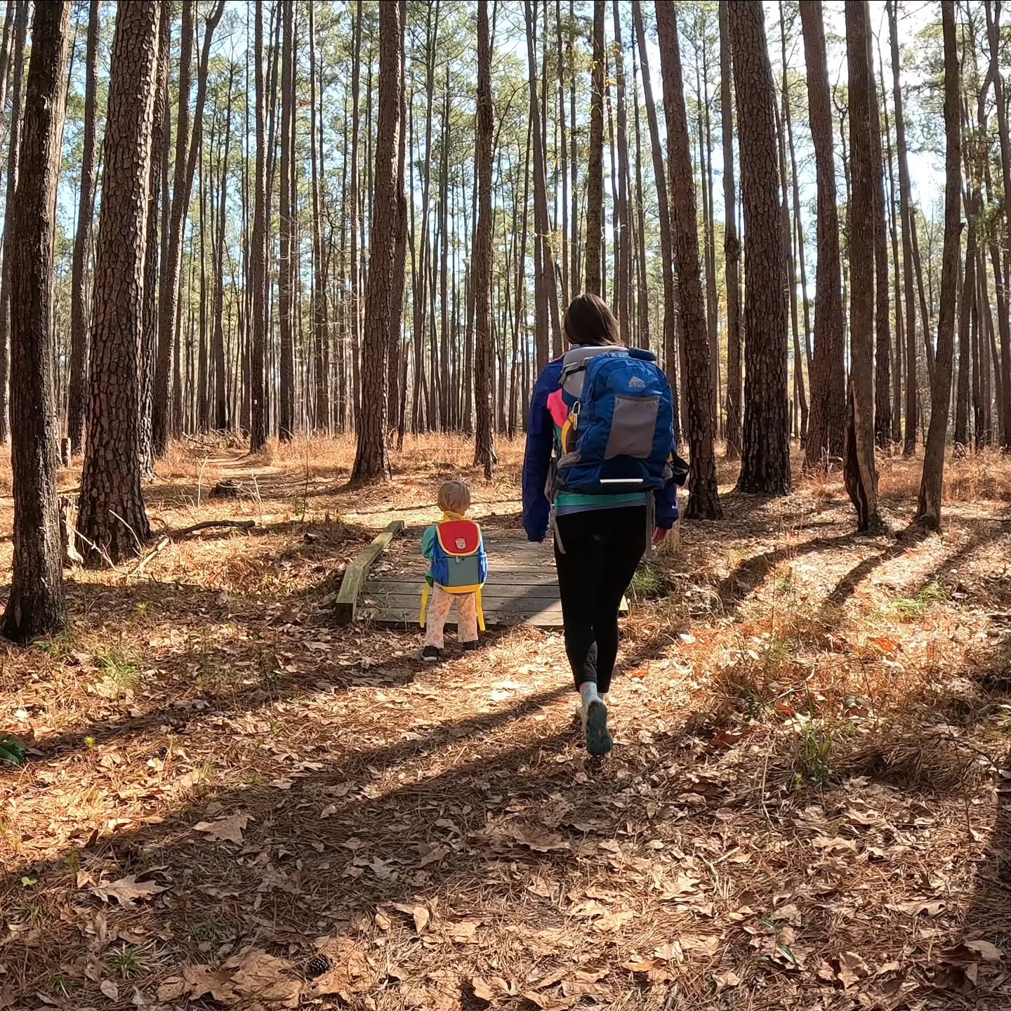This week I introduced Wiggle to one of my favorite Winter destinations - Congaree National Park. It was a little chilly for camping, so we made an all day trip of it. She was a big fan of the boardwalk trail (and PB&J picnic)
I'm currently working on a new video celebrating this underrated Park, so stay tuned!
#nationalparks #findyourpark #hikingwithkids #hiddengems #outdoorlife