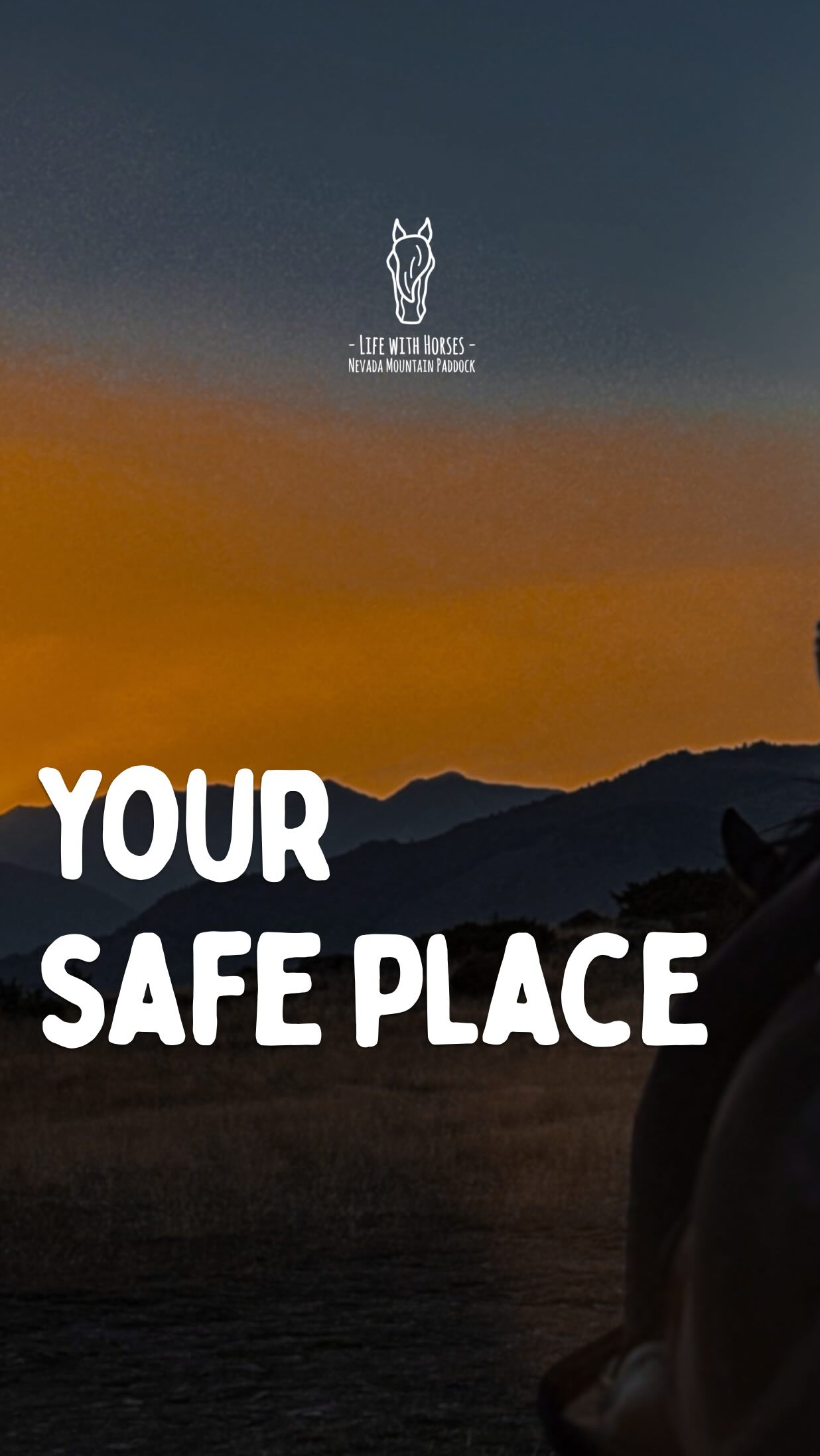 Fais de notre ranch ton refuge.
On a créé le Voyage Immersif pour te donner un moment pour toi, tes amis, tes proches. Pour te reconnecter avec toi même, avec la Nature et avec les Chevaux. Fais en ton rituel pour te recentrer.
🇬🇧 Make our ranch your refuge.
We created the Immersive Journey to offer you a moment for yourself, for your friends and your loved ones.
A time to reconnect with yourself, with nature and with horses.
Make it your ritual to realign and recentre.
🇦🇩 Fes del nostre ranxo el teu refugi.
Hem creat el Viatge Immersiu per oferir-te un moment per a tu, per als teus amics i les persones que estimes.
Un temps per reconnectar amb tu mateix, amb la natura i amb els cavalls.
Fes-ne el teu ritual per recentrar-te.
@pyrenees.cerdagne
@pnrpyreneescatalanes
@pyreneesorientales_tourisme
#horselife #horsejourney #backtonature #cerdanya #nevadamountainpaddock