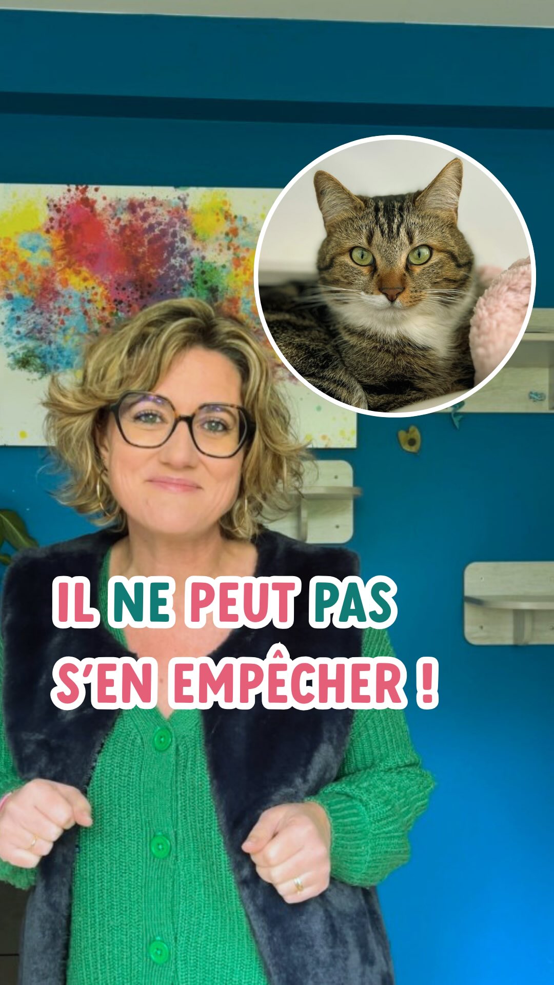 ça te rend dingue que ton chat monte sur la table ?
Mets toi quelques instants dans sa peau, et tu vas vite comprendre à quel point c’est essentiel pour lui les hauteurs !
Dis moi en commentaires s’il y a des hauteurs chez toi ? 😃
#mamanchat #conseilschat #monchat #entrechatetmoi #matou #maviedechat #rennescentreville #chatheureux #catmum