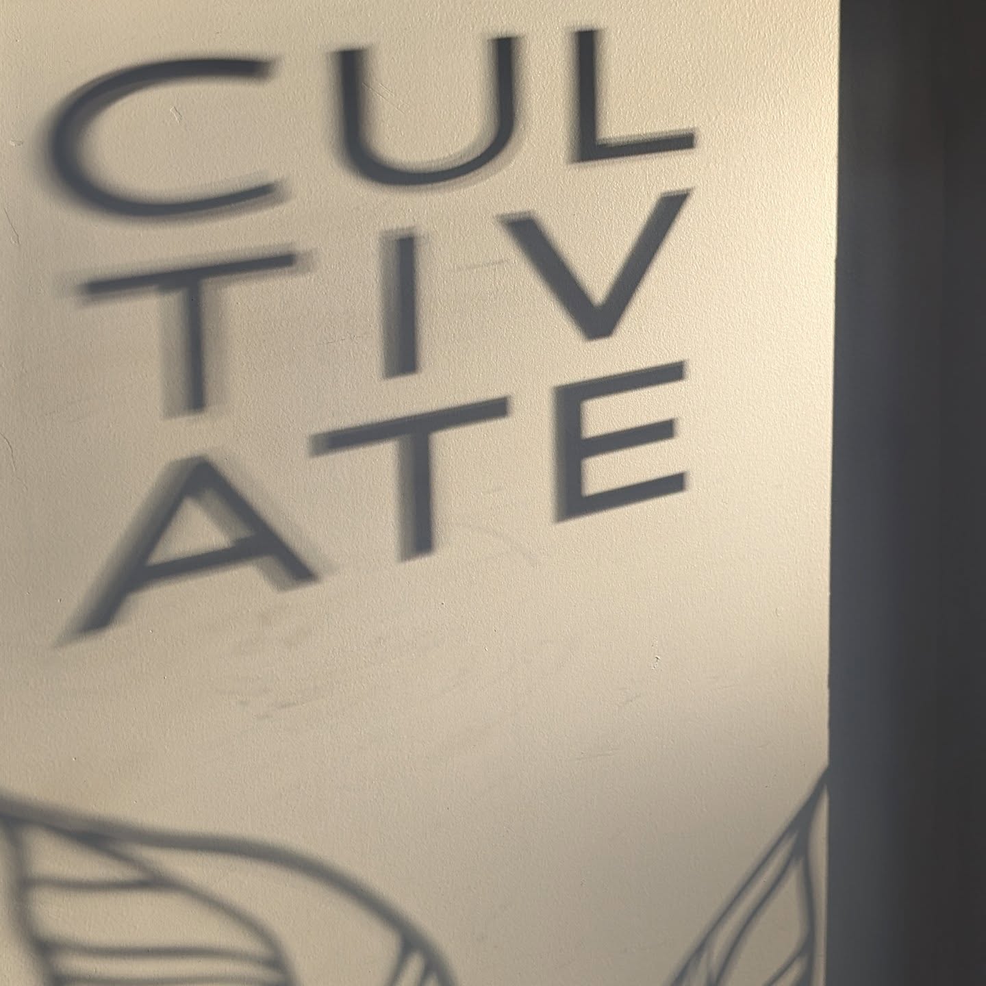 During this month of love don't forget to show some love to yourself! Take some time out of your crazy schedule and get your hair done. It might just be the therapeutic care you needed. 😜❣️