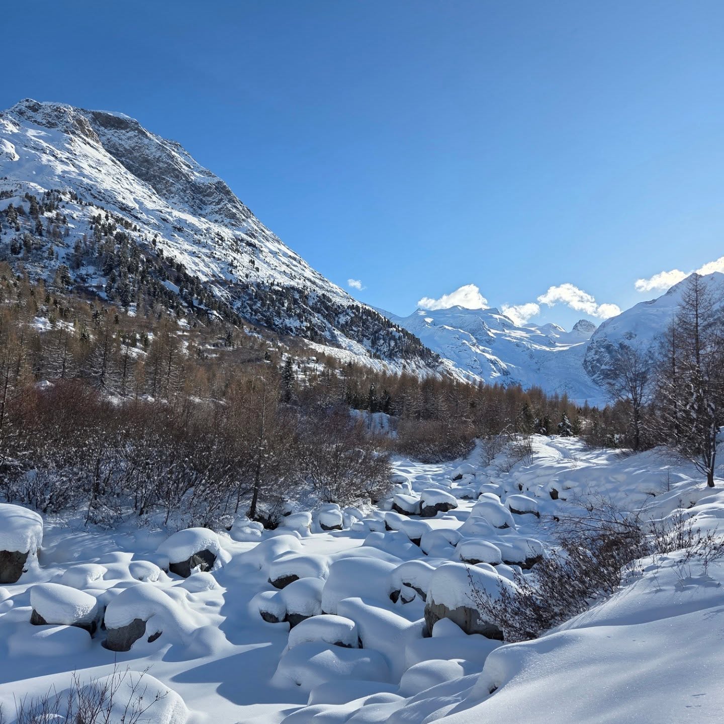 So ein Wochenende im Engadin ist einfach unvergesslich☀️
Die verschiedensten Schneeschuhwanderungen warten auf einen, ob in Bivio, am Berninapass oder im Val Morteratsch, eine schöne wie die andere 🥰
Bei einer geführten Schneeschuhwanderung kannst du dieses Glück auch erleben. Bist du dabei?
#winterwandern #schneeschuhwanderung #engadin #winter #bergliabi