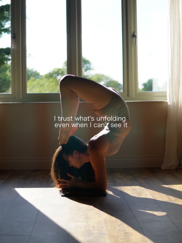 Welcome to Feb, the month of love 💞
Love for self, romantic, platonic and everything in between. A month with a little more light, a little more energy, and a step closer to the Chinese new year. This year of the snake has been about shedding, letting go of what no longer fits, and of what we have outgrown. It is a chance to begin again.
Here are some intentions to hold, for the end of the year 💗