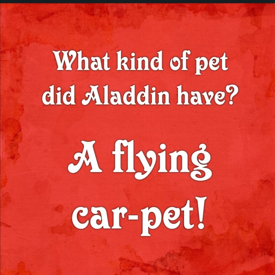 Remember a pet is for life not just for Christmas.â
â
â
#oneliners #punny #everyonesacomedian #panto #pantomimesengland #pantoessex #panto4eva #pantomimes #jokes #goodjokes #badjokes #comedygold #canyoudobetter #groan #communitytheatreâ
#festivefun