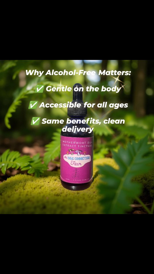 We use the power of alcohol to fully extract the medicinal compounds from our mushrooms and herbs—then carefully remove it before blending with glycerin. The result? A potent, alcohol-free extract that’s easier on the body without sacrificing effectiveness.
Thoughtful process. Clean ingredients. Real mushrooms and herbs. 🍄🌿
👉 Shop alcohol-free extracts made with intention
www.thesoleconnectionfarm.com/apothecary-collection
#regenerativelygrown #glycerinbased #smallbatchcrafted