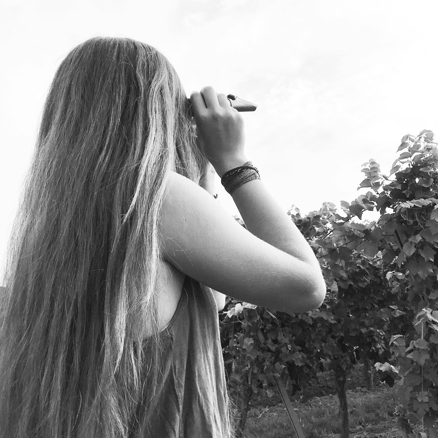 • Contrôle de maturité •
...... It’s R E A D Y !!!!
•
•
•
•#drinkalsace #alsacerocks #vin #vindalsace #wine #winelover #vineyards #alsace #vendanges #vino #winestagram