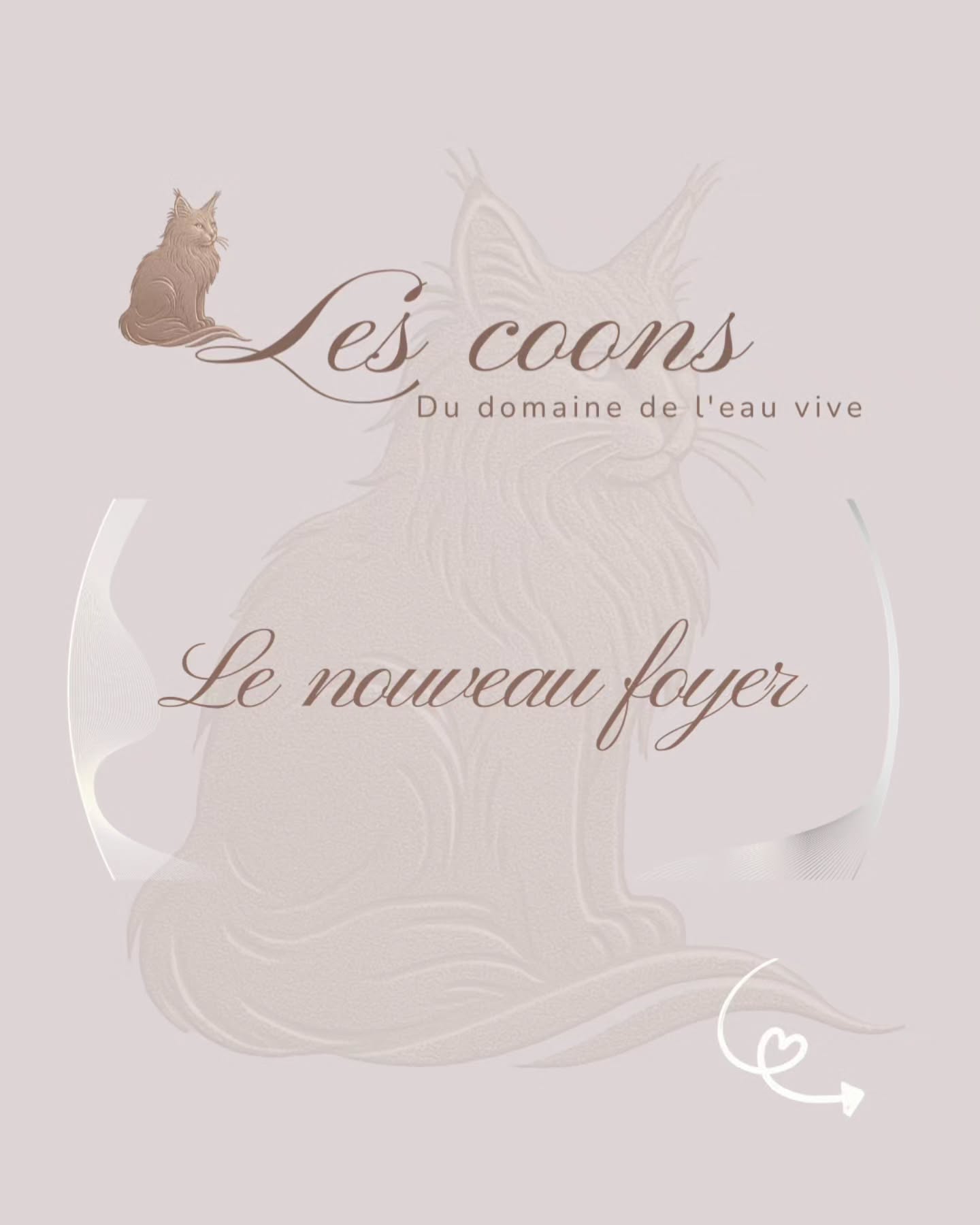 Un nouveau foyer, c’est beaucoup d’émotions 🐾
Laisse à ton Maine Coon le temps de s’adapter, sans le brusquer, et fais une transition alimentaire en douceur.
Patience et douceur avant tout 🤍
Carine Zimmermann
Affiliée au Cat Club Romand 🇨🇭
Domaine de l’eau vive
1724 Bonnefontaine
+41 79 281 93 88
#mainecoon #mainecoonlover #chaton #adaptationchat #chat