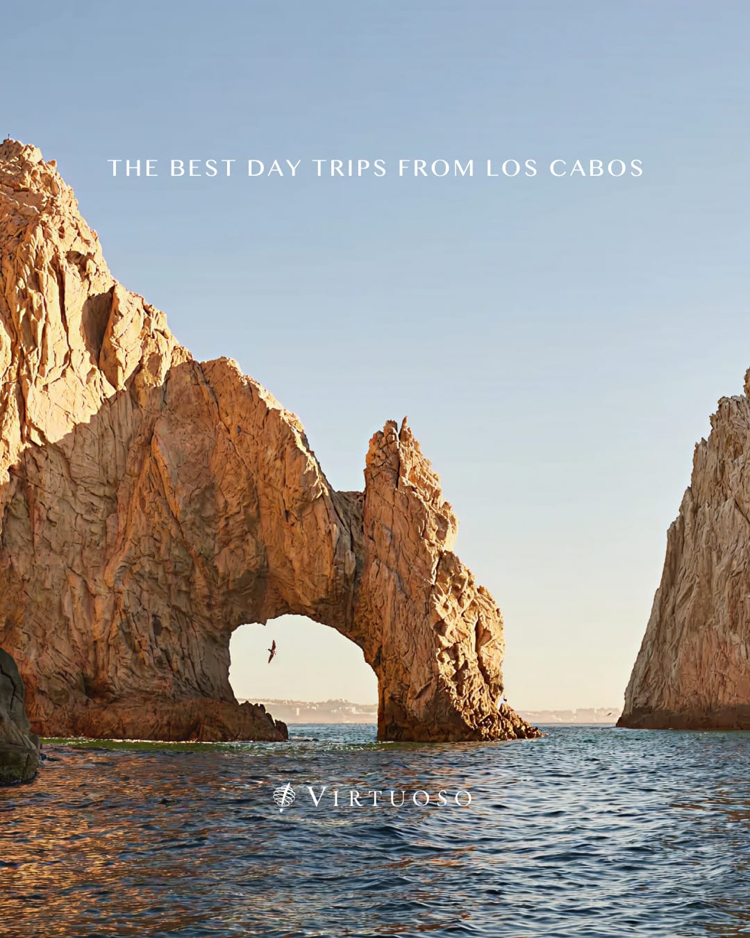 From waterfalls in the Sierra de la Laguna to whale encounters, coral reefs, and Baja’s pueblos mágicos, Los Cabos is a gateway to some of Mexico’s most striking landscapes. 🌊☀️
Let's connect to craft customized day trips that bring the desert, mountains, and sea to life:
(647) 576-7110
info@wayyzatravel.com
#VirtuosoTravel
#bookwithwayyza #thewayyzaway