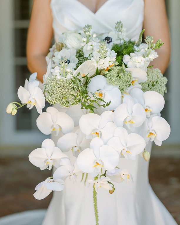 This stunning floral arrangement for the bride’s bouquet was breathtaking. I’m in love…
-
Este ramo de novia espectacular era aún más hermoso e imponente en persona. Fascinante trabajo de Rosi.
-
Wedding & Event Planner: @naplespartyplanner
Photographer: @annasorheguiphotography
Florist Designer: @laroseflb
Bridal Attire: @somethingbridalswfl
Bride: @lindseyjurkovic
...
#timelessimpress #bespokestationery #weddingstationery #luxurystationery #weddinginvitation #luxuryinvitation #bespokeinvitation #custominvitation #customstationery #custommade #handmade #handcrafted #wedding #destination #destinationwedding #luxurywedding #barbie #fairycore #balletcore #angelcore #cottagecore #80swedding #90swedding #y2kwedding #boda #invitacionesdeboda #quinceanera #quince #chicagowedding #floridawedding