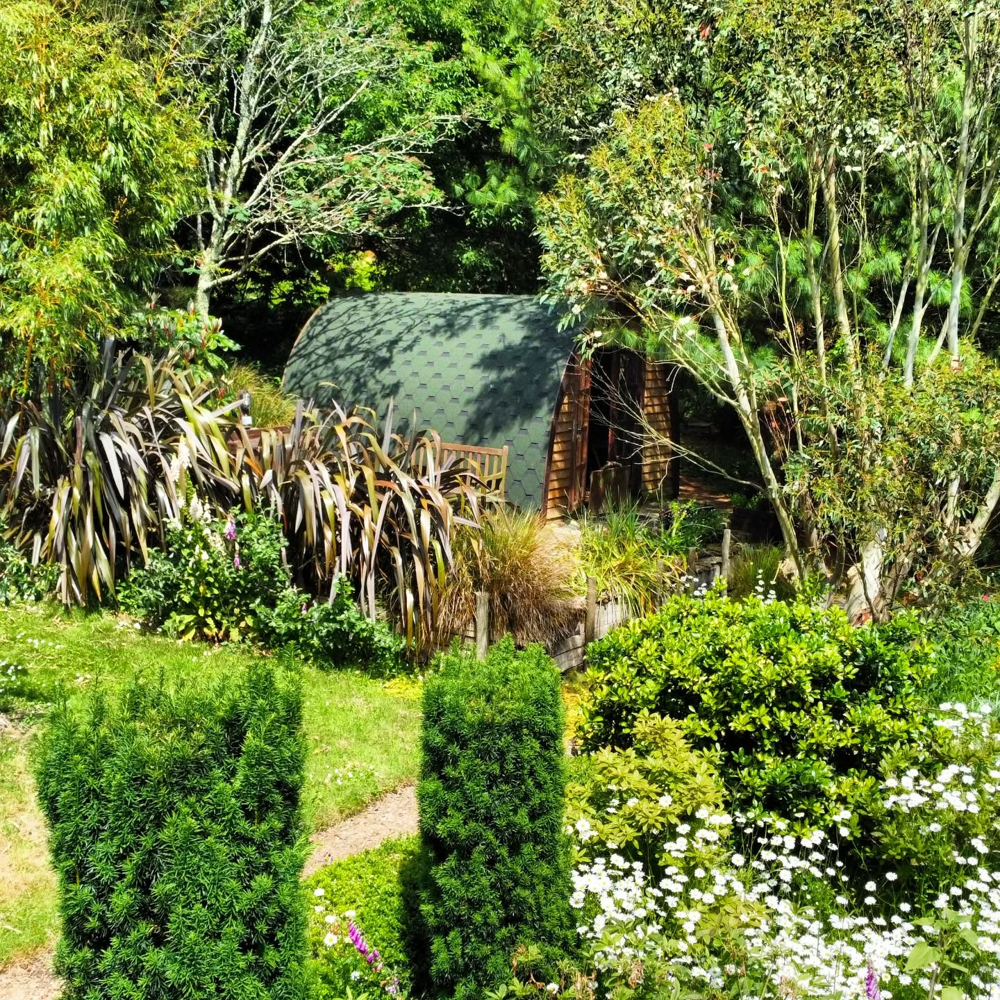 Can you spot our cosy pod Juniper tucked away in the flora!?
🌲🌳🌴
#glamping #pod #cornwall #cosy #airbnb #flora #plants #trees #flowers #accomodation #getaway #holiday #staycation #camouflage #firepit #sauna