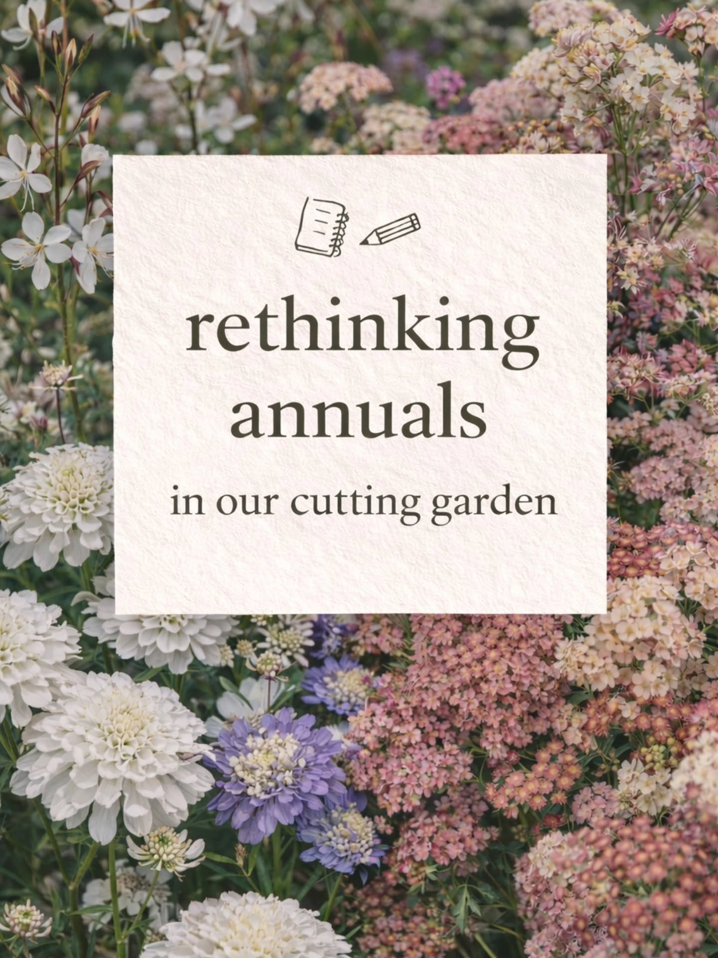 Weâre being honest with ourselves this year: raising a thousand annuals from seed is a lot of work.
So weâre shifting our cutting garden toward a bit more permanence. Still the soft colours and long stems we love â just with more plants that come back year after year.
The Hampshire Seed Company is always our first stop for seeds, so most of this inspiration comes from there. We picked up our basil and artemisia plants from J Parkerâs.
Thanks @smallgardenlife and @marinalilyflowers_co for the foliage tips đż
Zone 8b. Please share any other perennials you love as cutflowers! âïž
Swipe to see whatâs staying, whatâs going, and what weâre trialling.