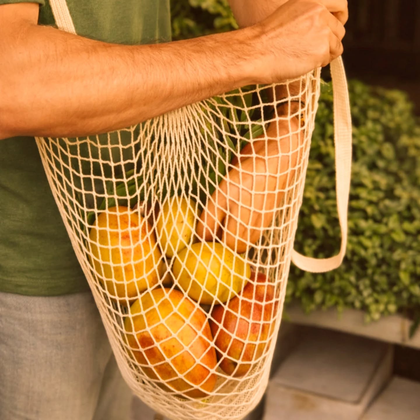 Tem coisa mais charmosa que chegar na feira com uma bolsa de algodão cru estilo francesa?🍀
Leve, resistente e atemporal, ela cresce conforme a compra e volta pra casa pronta pra próxima rodada. Nada de plástico descartável acumulando.
Só fibra natural, reuso e consciência no dia a dia.
Nossas bolsas de algodão cru acompanham sua rotina por anos.
Respiram, aguentam peso, lavam fácil e deixam cada compra com aquele ar de simples e elegante.
Um hábito pequeno que diminui resíduos, valoriza o artesanal e transforma a ida ao mercado num gesto de cuidado com o planeta.❤️