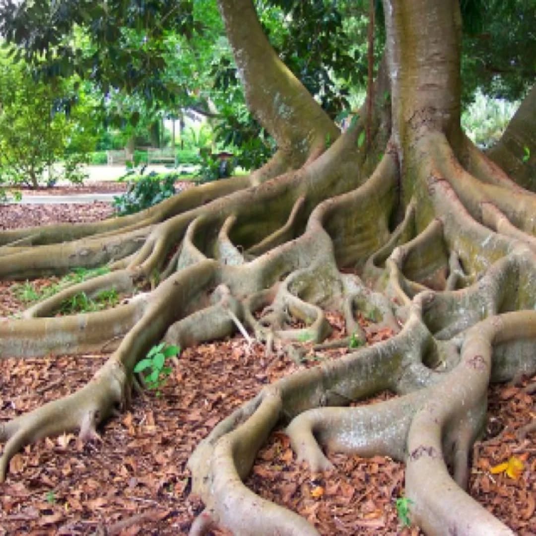 Eddie Ramírez esta semana:https://www.ojoconeso.com/post/necesidad-de-una-amplia-base-política-de-la-oposición