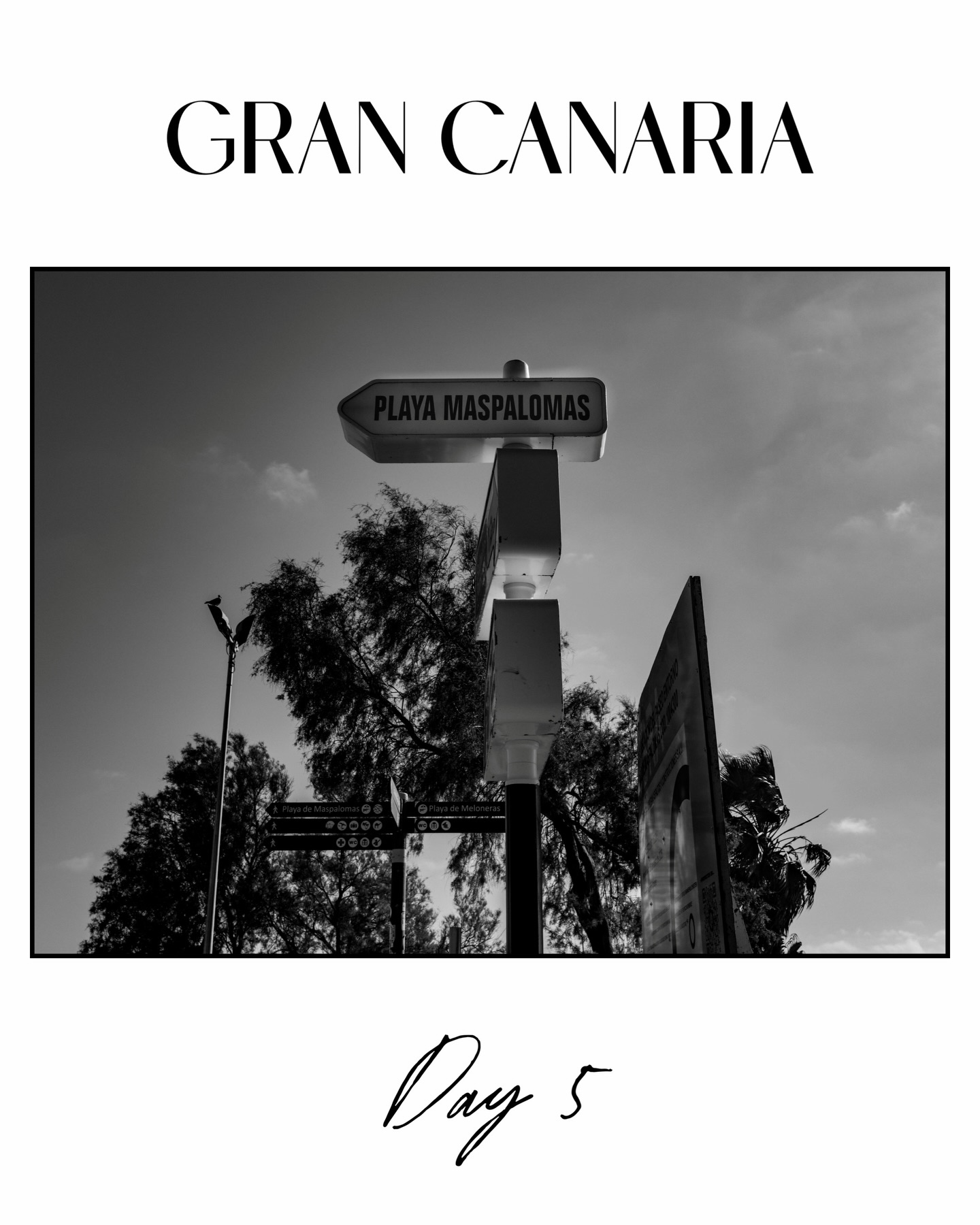 Today, a short trip to Maspalomas ☀️🌴
We took the bus and enjoyed an amazing day full of impressions, sunshine, and beautiful scenes.
Of course, I had to capture these moments with my Leica 📸✨
#djlife🎧 #impressions #familytime #leicaphotography #maspalomas