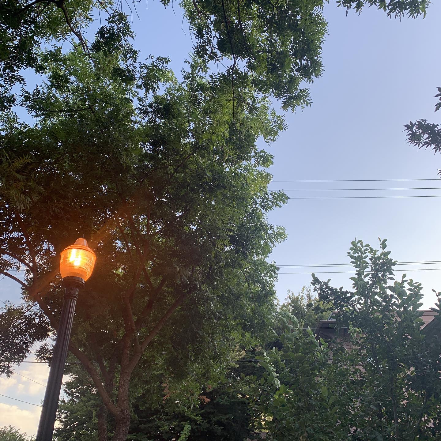 Nice to see you again, NorCal
.
Let’s do some work
.
#gladibroughtmyzyrtec #allergictosac #cityoftrees means #cityofallergies
.
#professionaldevelopment #lgbtqtraining #probationdepartment #yolocounty #traumainformed #traumainformedcare #theacadami #thistrainingdidntsuck @theacadami #lovewhatyoudo #travelforwork #sacramento #norcal