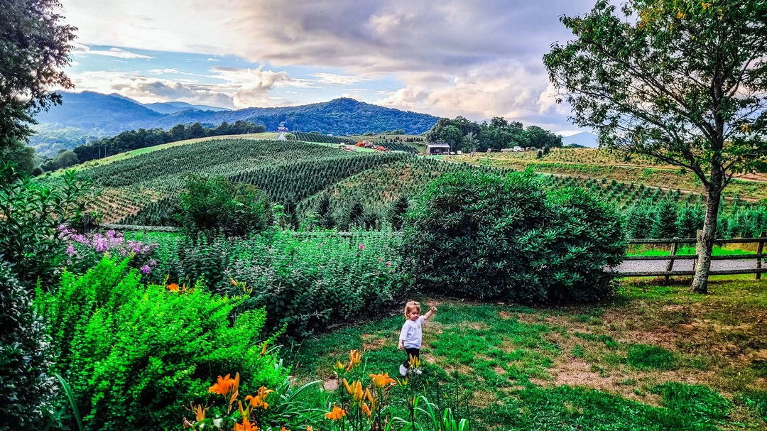 🌿 Nature's Playground 🌿
"In nature, a child finds freedom and peace." Letting them roam free, away from screens and schedules, is the best gift we can give. Here's to many more days of getting lost in nature's wonders. Enjoy Wildwind Boone!
#ChildhoodAdventures #NatureLover #OutdoorFun #GetLostInNature #PureJoy