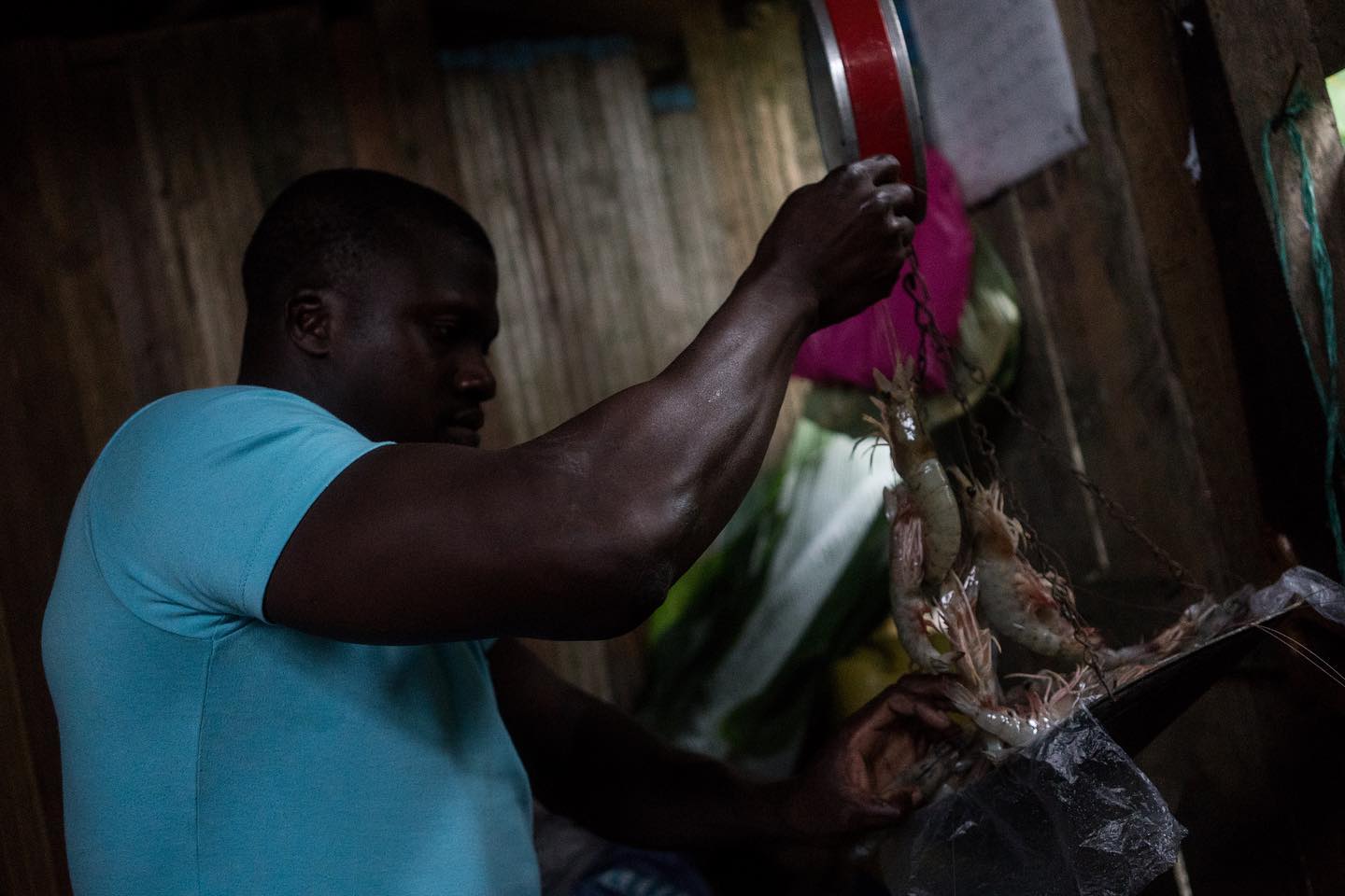 Nuestro director de camaroneros en el centro del pacifico colombiano en el centro de acopio recibiendo gambas, controlando la talla y calidad para luego poderla llevar a cada uno de los participantes en esta cadena artesanal. Feliz fin de semana les deseamos . 🇨🇴🦐🦐🇨🇴. #pescaresponsable #pescasostenible #fresh #fishman #pescador #pacificocolombiano #pacificocean #shrimps #gambas #langostino #colombia #fresco #pesca