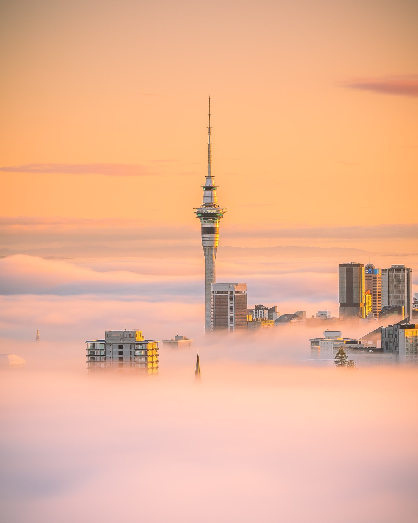 The iconic Auckland Sky Tower rises above a blanket of fog during a serene winter sunrise 🌁.
This is my entry to @sonyalpha.anz's Day 10 of 12 Days of G Master Competition (architecture/design theme) with @pat_kay.
#Sony12DaysOfGMaster10
📷: @SonyAlpha a7R III + @Sony FE 85mm f/1.8