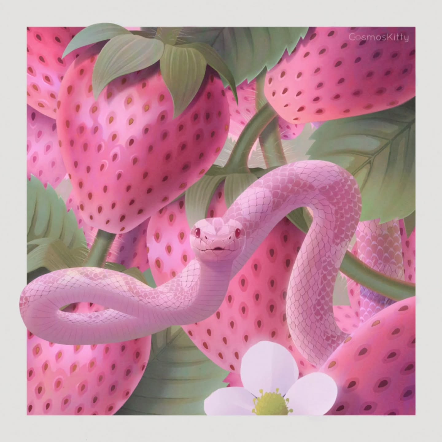 Two more additions for the set of illustrations I've been working on themed around berries and snakes! 🐍🍓
Corn Snake + Strawberries
Baron's Racer + Blueberries