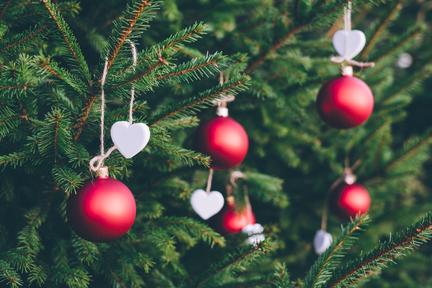 Happy Christmas from SamFire Memorials