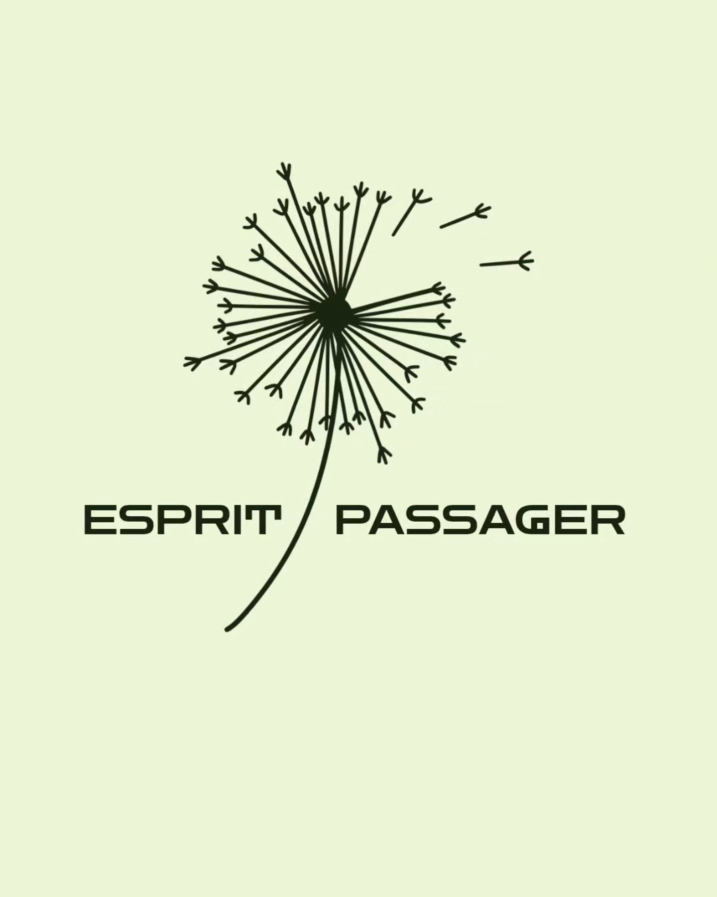 Esprit Passager is an artful way of wandering.
From hidden galleries to fleeting moments,
we follow what appears... and disappears.
We show art.
We guide into art.
We make art.