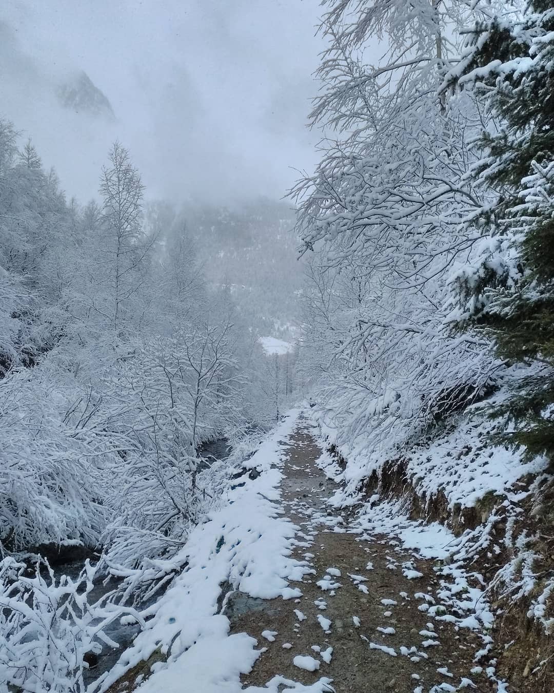 Encore un peu d'hiver 😊
