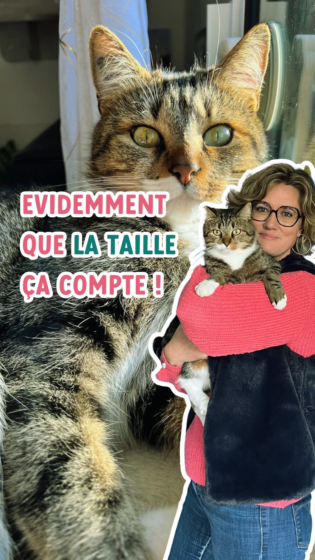 Il est temps de parler franchement !! 😂
Imagine, tu as le choix entre des toilettes spacieuses ou des toilettes de TGV…
Qu’est-ce que tu choisis ?
Le chat est comme toi, il a besoin d’être confortable quand il fait ses besoins !
Alors dis-moi en commentaire si son bac est suffisamment grand par rapport à sa taille ! 😃
#entrechatetmoi #litière #relationchathumain #fandechat #bruz #monchaton #conseilschat #comportementalistechat #viedechat #rennescity #chatdamour
#rennes #chats