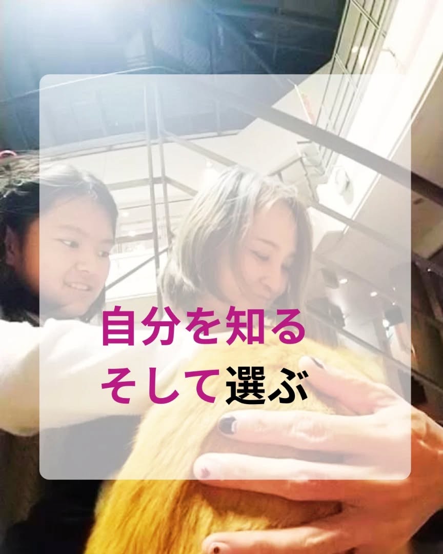 《選ぶ前に、自分を知る》
選挙だね。
選挙とか、どうでもよさそうな人が
ちょっとだけ語るよ。
ここ数年
瞑想とか、ネイチャーヒーリングっていうんですか?
そんなことばっかり好きでやってきました。
「私は社会とは合わない…(シクシク😢)」
みたいな、拗ねぼんな感じで。
でもね、最近ちょっと
「あれ?」って思うことが増えてきて。
私、《はいってくんなオーラ全開》のお店を運営してるんだけど
(話それた風だけど、ちょっと待って)
昨日ね、
お店の前を高市さんが通ったって、
その場にいた子に聞いた瞬間に、
「よっしゃ、私も社会にどっぷり浸かろうじゃないか」
って、なぜかスイッチが入ったんです。
最近ね、
若い子たちと話したり、
異業種の人と話したり、
それがなんだか、すごく楽しい。
「あれ、私なにをそんなに怖がってたんだろう?」
って
きっとこの2年ほど、
セクシャルアルケミストの学びのなかで、
自分の身体や感情や、言葉にならない奥の感覚に
何度も何度も触れてきたからだと思う。
外に向く前に、
ずっと内側に潜ることをしてきた時間。
そのせいか最近、
仕事でもプライベートでも
オラクルカードをひいていると、
前よりもずっと、静かに、くっきりと伝わってくる。
内側に潜って感じていた感覚が、
そのままカードのリーディングに現れているみたいなんです。
選挙は大切。
「自分で選ぶ」って、とても大切。
(やっとここに戻った )
でもその前に、
「私は何を大切にして生きたい人なのか」
それを知ることが、
実は先なんじゃないかなって思うんです。
このオラクルカードリーディングでは、
*私は何に安心し何に違和感を覚える人なのか
*私はどんな未来を望んでいるのか
*私は何を守りたい存在なのか
*私は社会とどう関わりたいのか
カードを通して、見ていきます。
政治の話はしません。
思想を押しつけることもしません。
ただ、
あなた自身のリーディングをします。
選ぶ前に、自分を知る。
それは、
仕事も、恋愛も、
今日なにを食べて、なにをして過ごすかも。
すべては「自分の選択」からできているから
世界の見え方は、そこから変わっていく。
オラクルリーディング、明日やってます。
恋愛やパートナーシップをみたい方も、もちろんどうぞ🎵
30分 3,000円〜
下伊敷にて。
あそびにきてね。
明日はなんのケーキ焼こうかなー🍀
明日は「はいってきてねオーラ」全開でいようと思います。
#オラクルカード
#鹿児島カフェ
#瞑想
#自分を知る
#選ぶということ