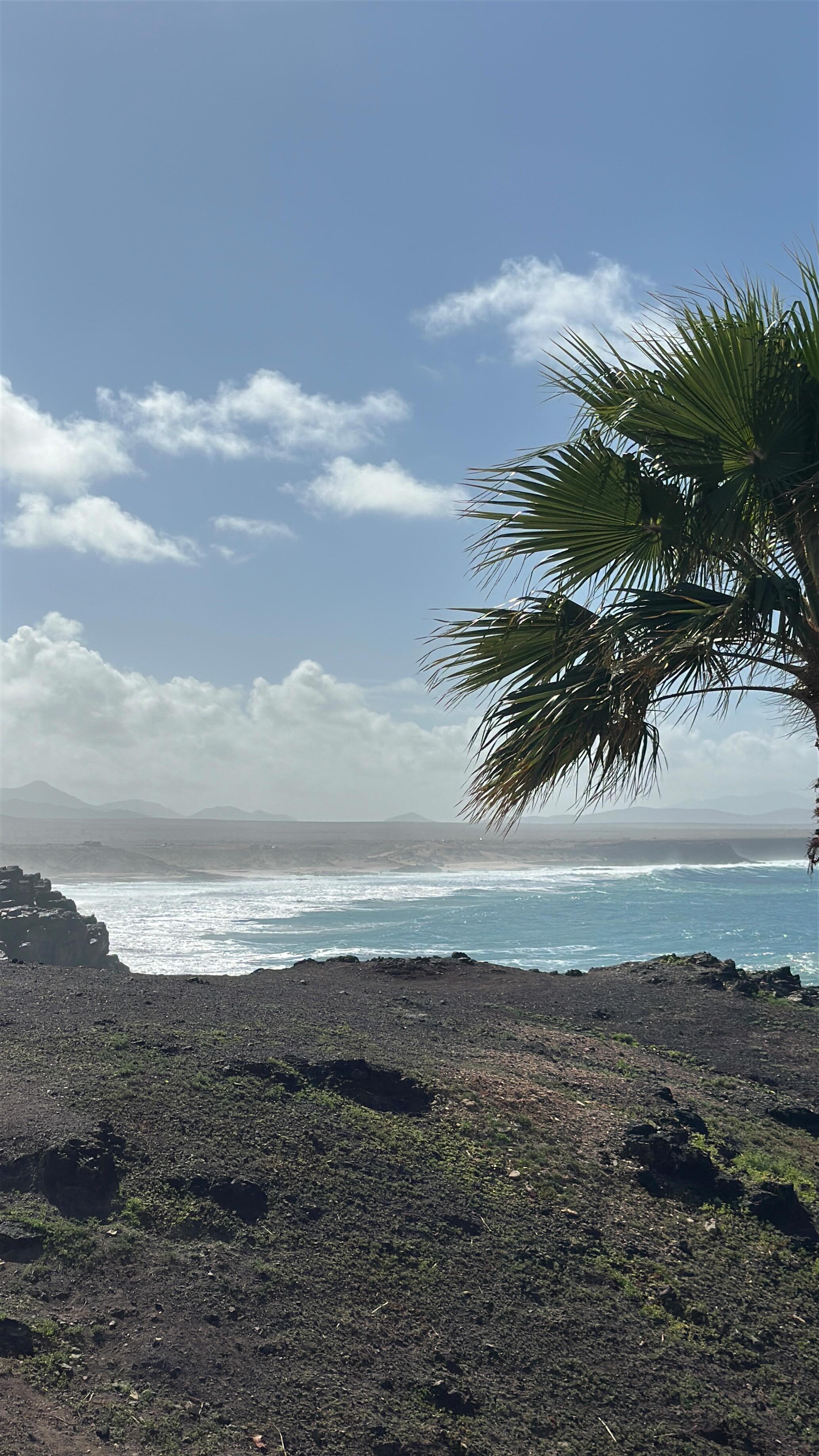 bye bye Kälte, Eis & Schnee!
Hello Palmen, Sonne, Strand & Meer ✨🌞🐚🌊
Finds schon echt verrückt, wie sehr mich dieser Ortswechsel verändert. Als wäre ich einfach eine upgraded Version meiner selbst 🥹
Ich fühl mich schon nach nur zwei Tagen hier so viel freier, ausgeglichener, innerlich ruhiger, strahlender, fröhlicher, mutiger & habe so viel mehr Inspiration, Energie und Kreativität - das ist wirklich crazy.
Also crazy schön, weil ich jetzt zwei Monate hier leben darf ✨🥹🌞 & gleichzeitig auch crazy irritierend, weil ich mich so langsam echt frage, wo ich langfristig wirklich leben will. Hab noch keine Antwort darauf aber go with the Flow ist das Motto & für grade bin ich auch mit dem Wechselmodell ganz happy - im Winter viel am Meer leben & im Frühling und Sommer meine Hometown München genießen ✨
Let’s see 😏🤍
Freiheit | Reisen | Meer | Ocean | Selbstverwirklichung | Traumleben | Dreamlife | Fuerteventura | Travel | Winter | Mindset | Achtsamkeit | Spiritualität
#travelmeme #ocean #dreamlife #traumleben #oceanmeme