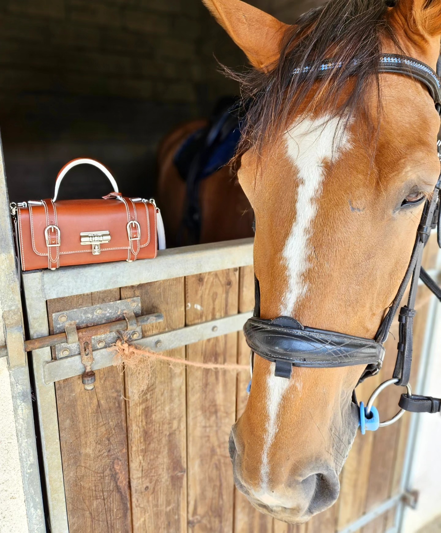 L'emblématique sac "Diligent" se fond parfaitement dans ce décor équestre, origine de son inspiration.
#prouesbydavidhanna #diligent #savoirfaireartisanal #inspiration #horseworld #cheval #animals #Luxuryhandbag #leather #fashion #horse #loquet #madeinfrance #frenchbrand