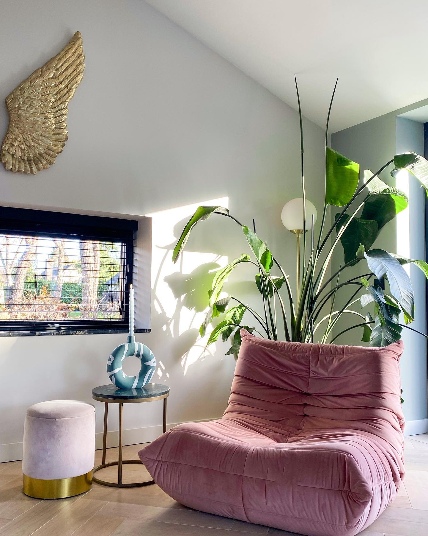 Vroeger kon ik nog geen cactus in leven houden en look at me now! Helemaal het plantenvrouwtje hoor 😄🌱 Die strelitzia van ons is niet meer te stoppen. Hij tikt gewoon met twee nieuwe bladeren het plafond aan 🙌🏻
.
.
.
#strelitzianicolai #kamerplant #woonkamerstyling #homewithtogo #togo #ligneroset #designmeubels #vintage #interieurinspiratie #interieurstyling #interieuradviseur #interieuradviesaanhuis #interieurplan #interieuradvies #vintagemeubels #rozestoel #velvet #planteninhuis #plantsofinstagram #kleurrijkwonen #woonkamerinspiratie #woonkamerstyling #goldenwings #eclecticdecor #eclectichome #zwartejaloezieën #strelitzia #paradijsvogelplant #wanddecoratie