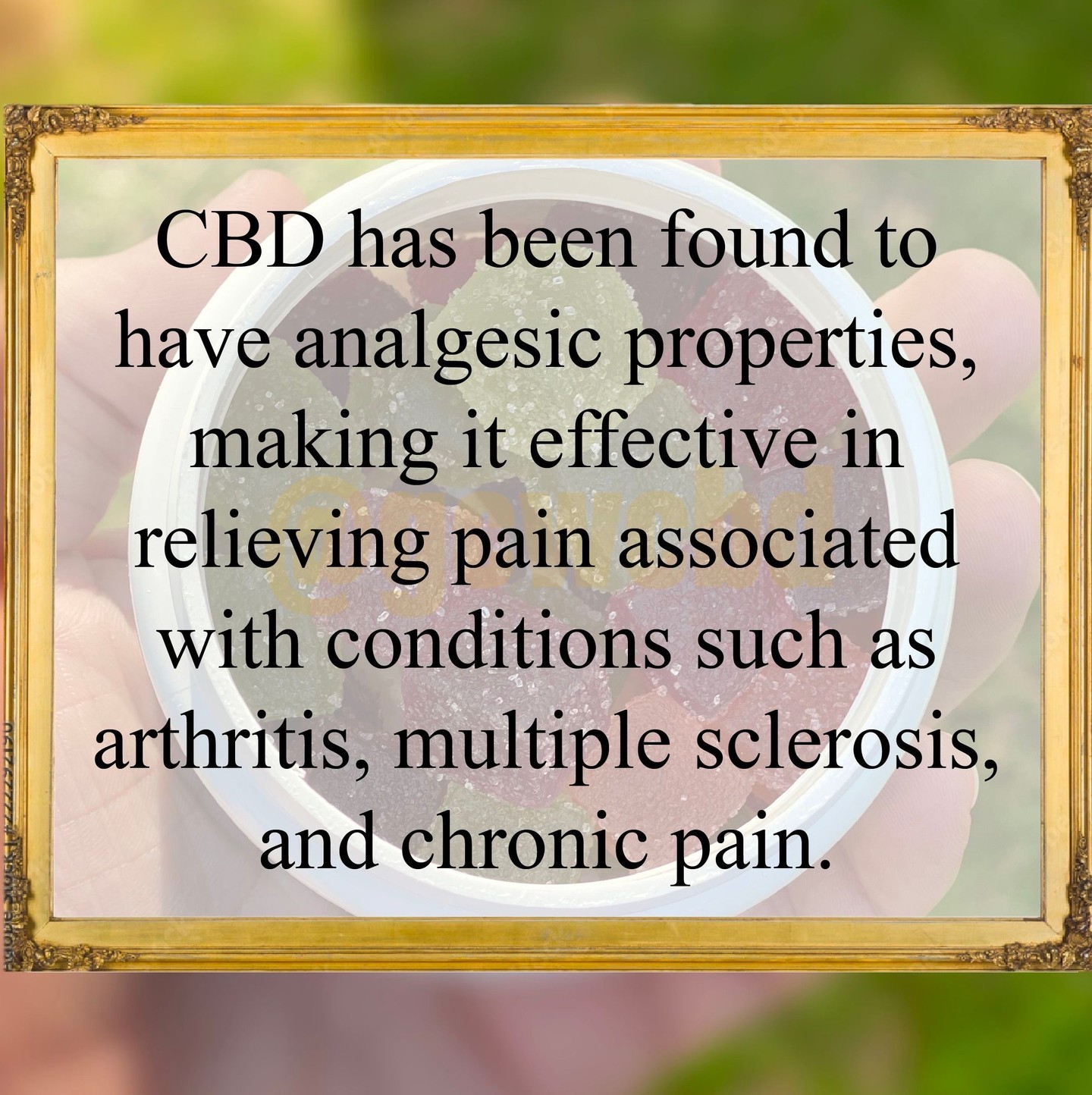 How much do you know about CBD? Checkout this fact!
#cbd #cbdfacts #fact #learn