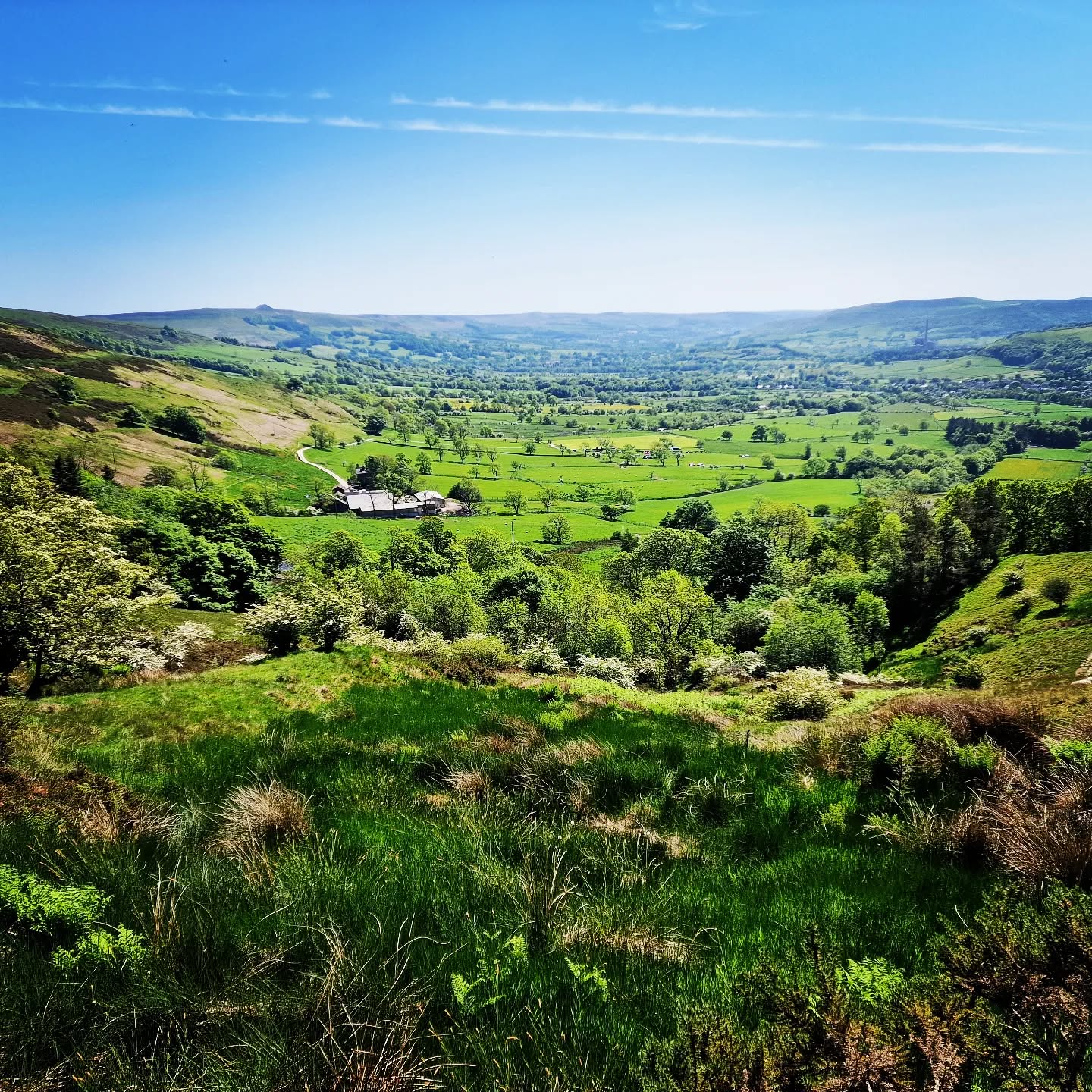 "Let the fields be jubilant, and everything in them; let all the trees of the forest sing for joy." (Psalm 96:12 NIV) #field #tree #naturephotography #nature #landscape #landscapephotography #scripture #bible #psalms #creation #joy #jubilant #love #peakdistrict #countryside