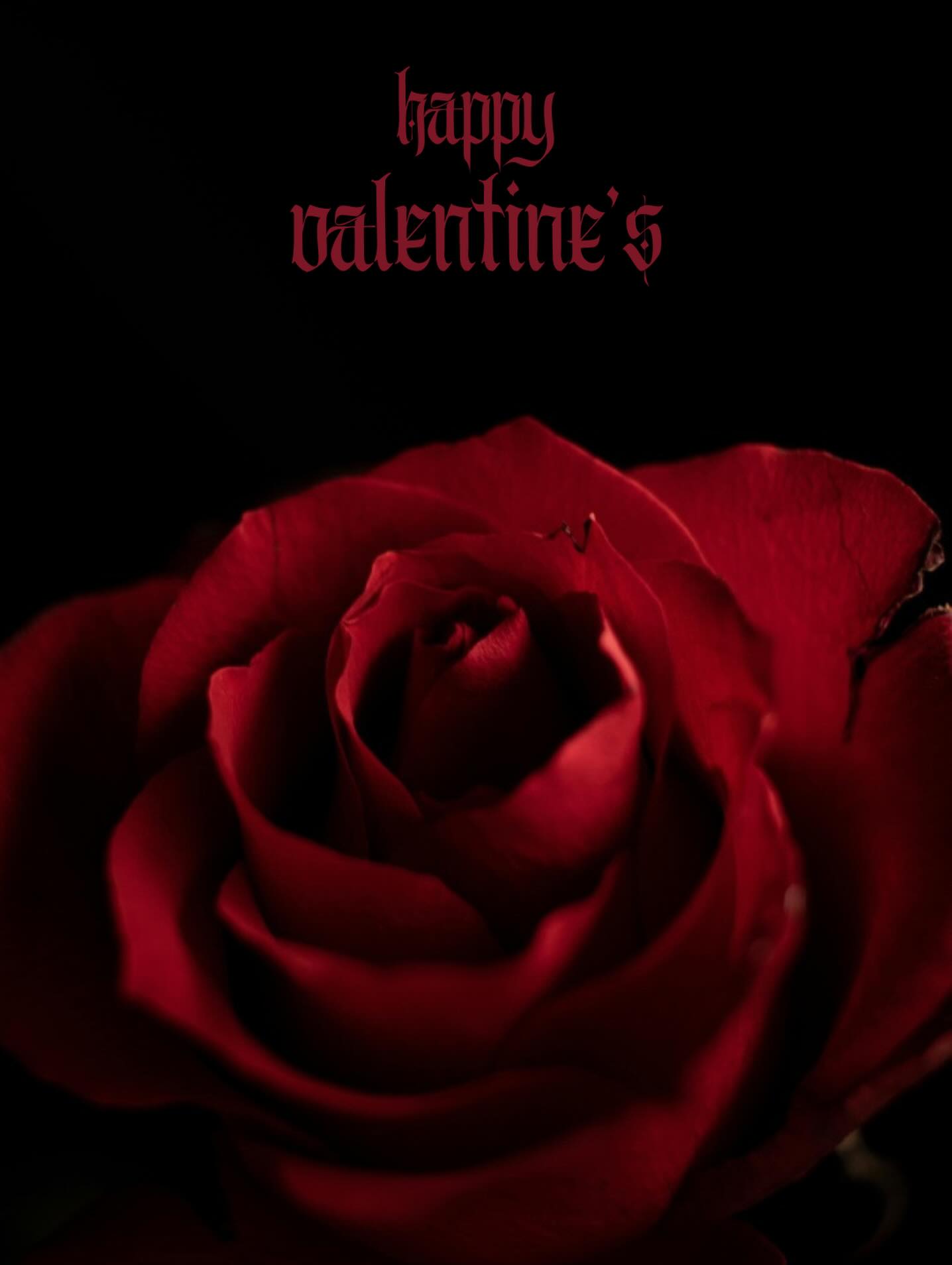 Happy Valentine’s Day 🌹