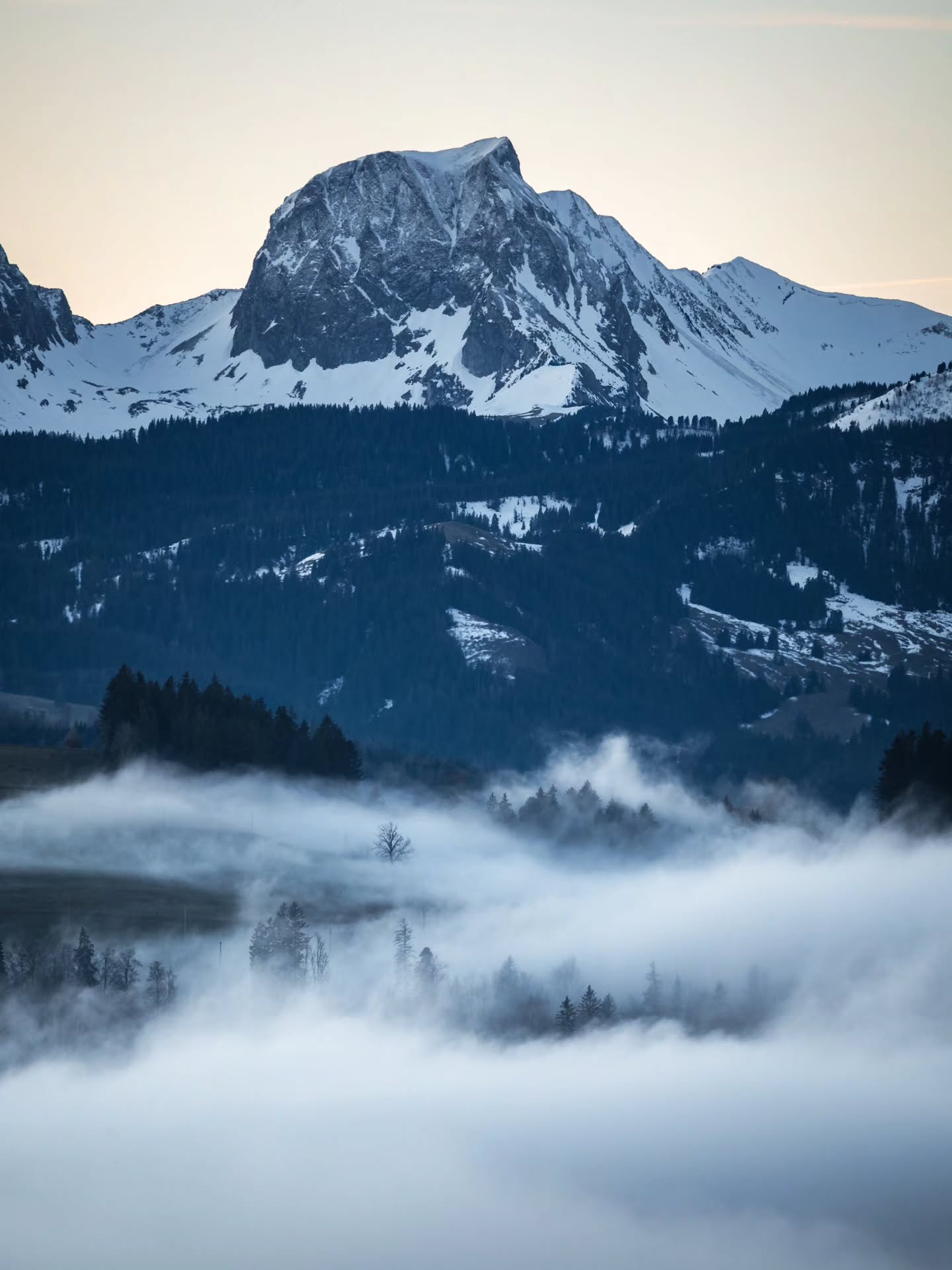Wave after wave at the sea of fog.
#photography #fineart #alps
