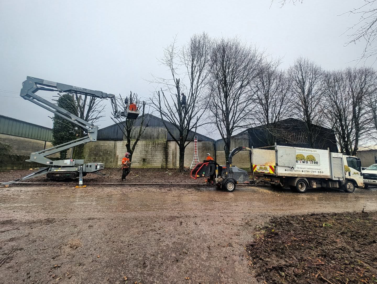 The arb team getting stuck into a pollarding project to reduce the impact that these Limes have on the barns behind π³βοΈ @affordable_access_hire_ltd @cmcliftuk
@m1waymason @dannyshayyy @thearbprentice @freddie.halls @bethandewey @matdewey
#treesurgery #hampshiretreesurgeon #andovertreesurgeon #winchestertreesurgeon #treemanagement
