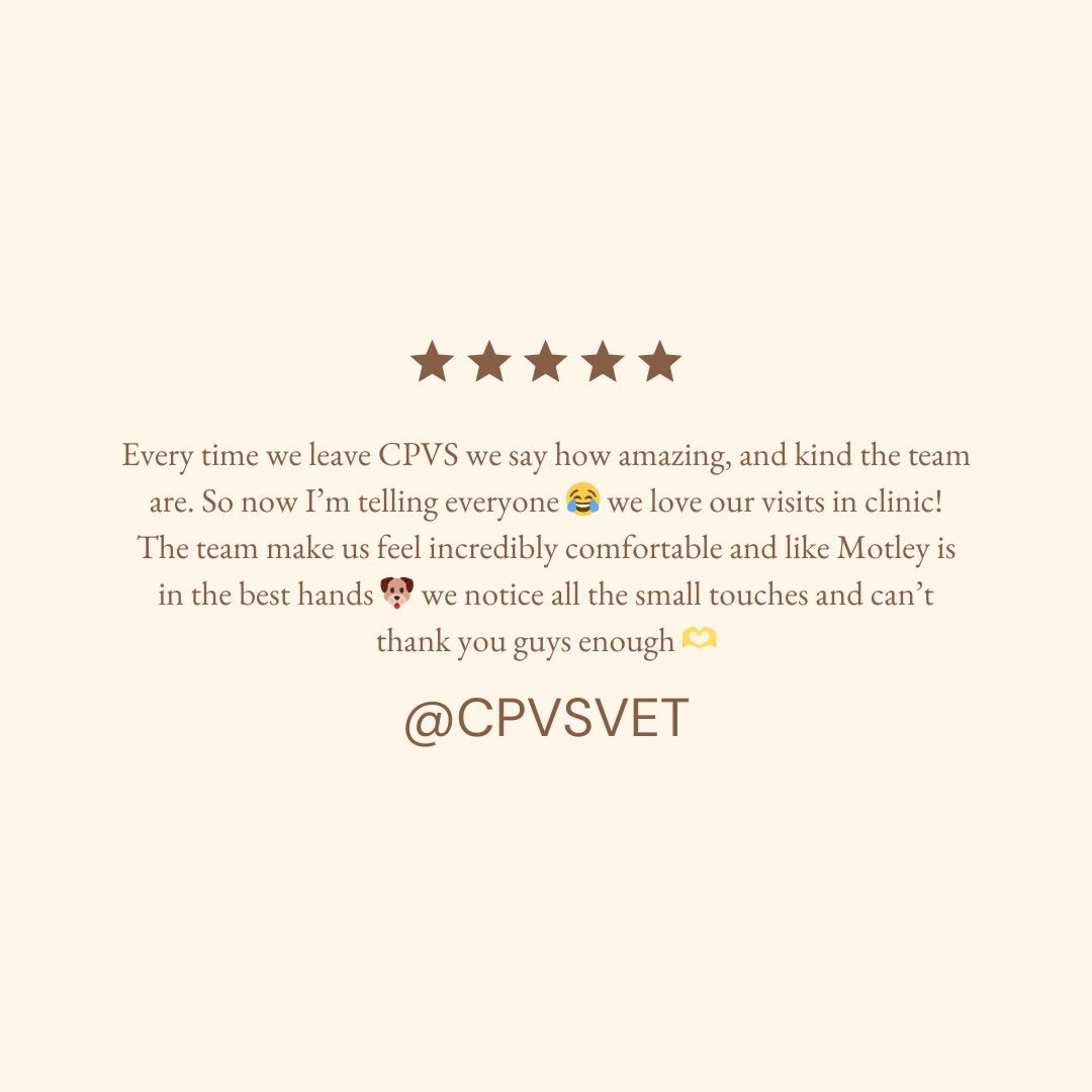Such a lovely 5 ⭐️ review from @hausofmotley ‘s parents 🥹