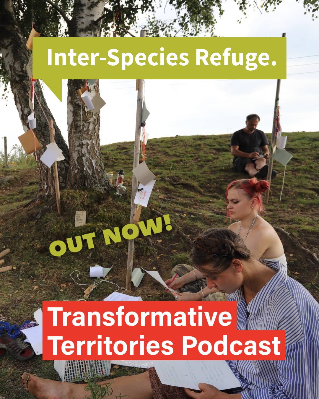 Program Transformative Territories kulminoval zahájením MOOC (online kurz), který zahrnuje sérii podcastů a videí, rozhovory s umělci a odborníky pozvanými našimi partnery a interaktivní mapu představující umělecké a ekologické iniciativy v celé Evropě i mimo ni. Třetí epizoda série podcastů se odehrává v našem centru, kde se Creative Assembly zabývá sdílenou praxí a naplňuje poslání programu Transformative Territories: zkoumá, jak umělecká praxe může vytvářet podmínky pro ekologickou a sociální transformaci.
🌱 Odkaz v bio
The Transformative Territories program culminated in the launch of a MOOC (massive open online course), which features a podcast series and video content, interviews with artists and experts invited by our partners, and an interactive map showcasing art and ecology initiatives across Europe and beyond. The 3rd episode of the podcast series is situated at our center, experiencing the Creative Assembly as a shared practice, embodying the mission of Transformative Territories: exploring how artistic practice can generate conditions for ecological and social transformation.
🌱 Link in bio