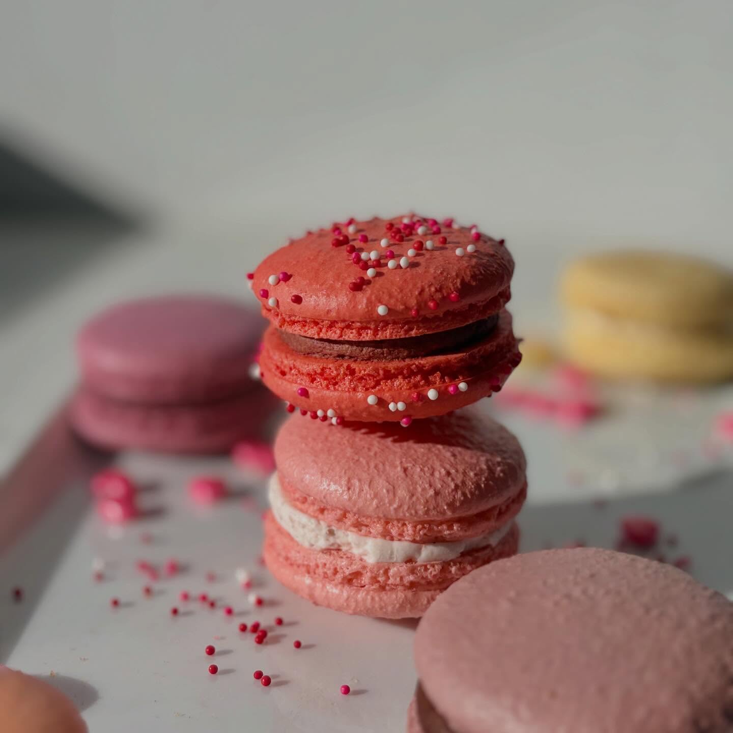Love at first bite 🩷 Our Valentine’s themed macrons are out now at the shop!
Red Velvet
Strawberry Milkshake
Chocolate Cherry
Peaches and Cream
Banana Crème Pie
Raspberry Earl Grey
Mudslide
All these flavors handcrafted and made with love 💕