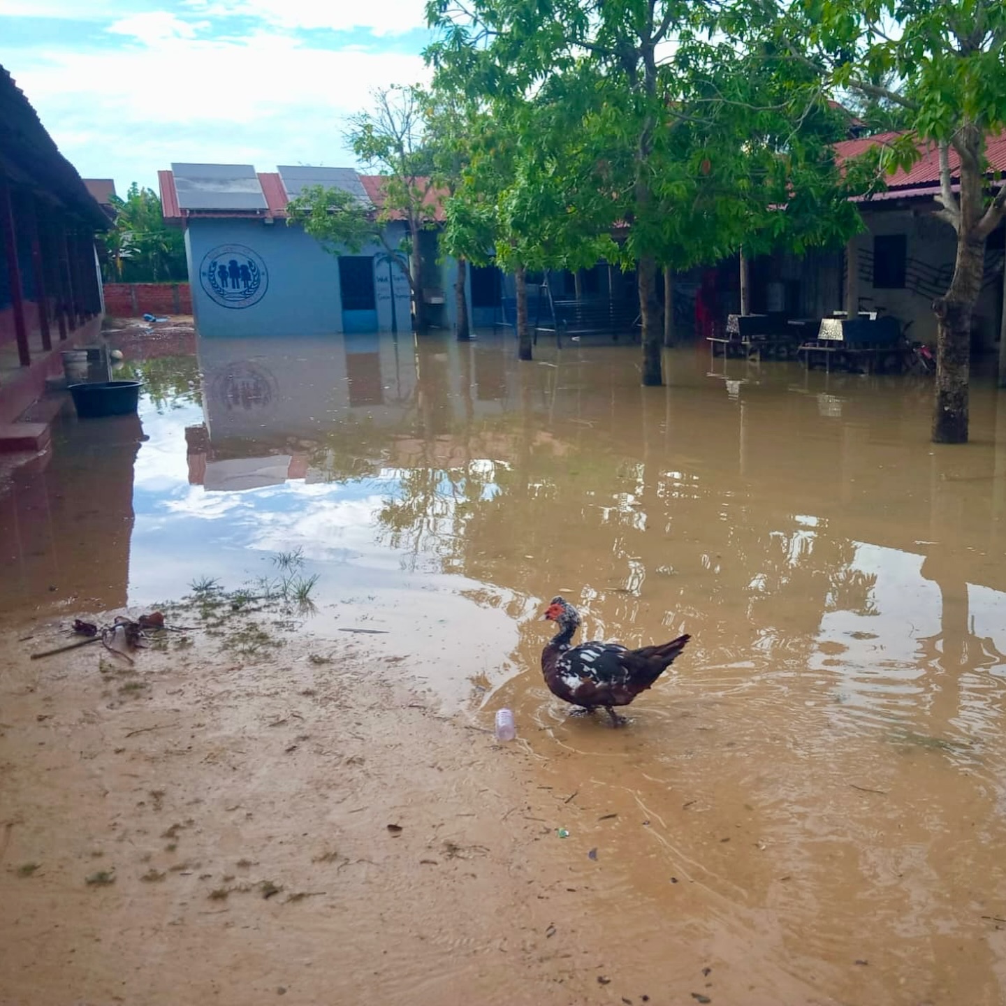 From flooding to a safe, usable learning space.
Each rainy season, the outdoor learning and play area at our partner school, NHCA, was left flooded and unusable - disrupting classes, limiting movement, and creating safety risks for students.
This flood-proof floor now provides a safe, durable outdoor space that can be used year-round for learning, play, and community activities.
This project was delivered in partnership between Experiential Learning Asia and Foundation for Shared Impact (FSI), with FSI’s generous donation funding the flood-proof concrete floor, and coordinated alongside an Australian donor who funded the roof structure, ensuring long-term protection from flooding.
The project was made possible by the leadership of Mr Prosh, NHCA’s school director, who brought this project together.
A practical solution. Locally led. Built to last.
@forsharedimpact
#ExperientialLearningAsia
#NHCA
#FoundationForSharedImpact