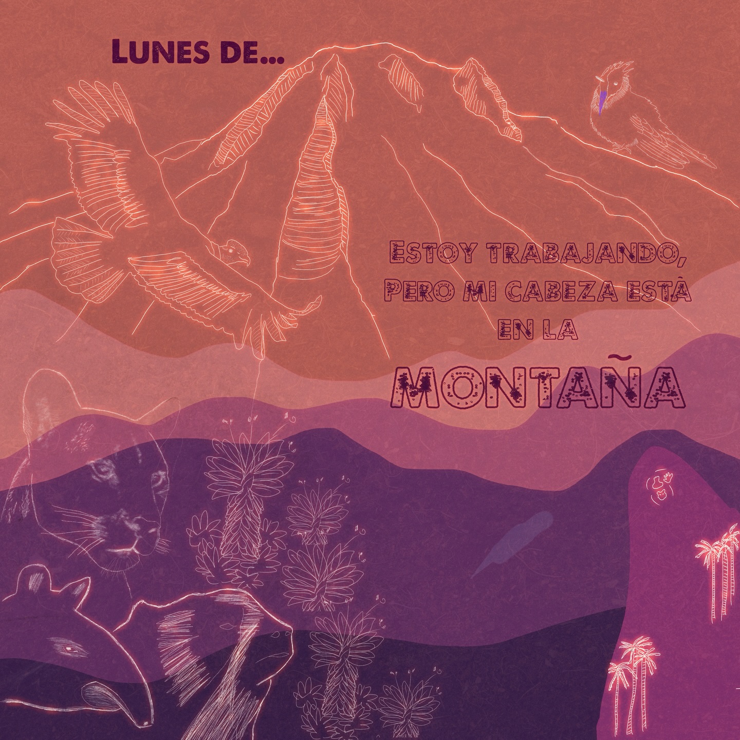Lunes de…🥹
Pero esta vida de ir a la montaña, de avistar bichos y de usar equipos caros no se paga sola
Volveré el finde 🏔️🔥
www.latiendadelmonte.com