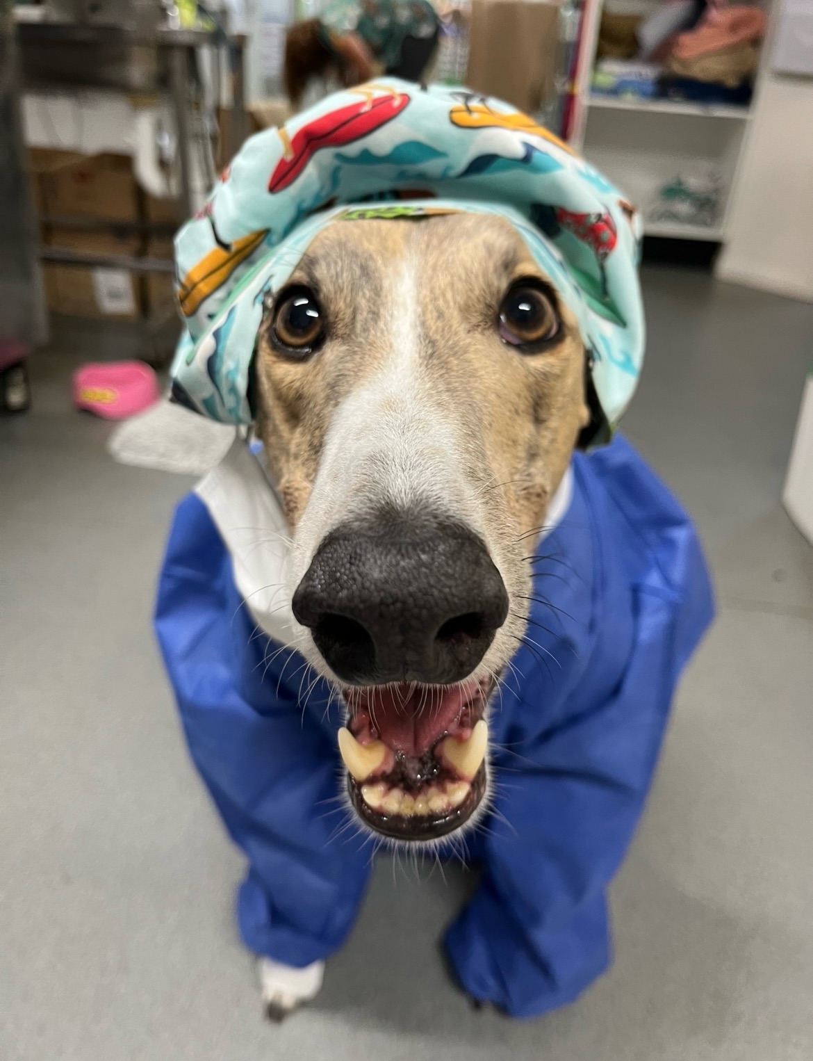 Pablo reporting for surgery 🩺👨⚕️