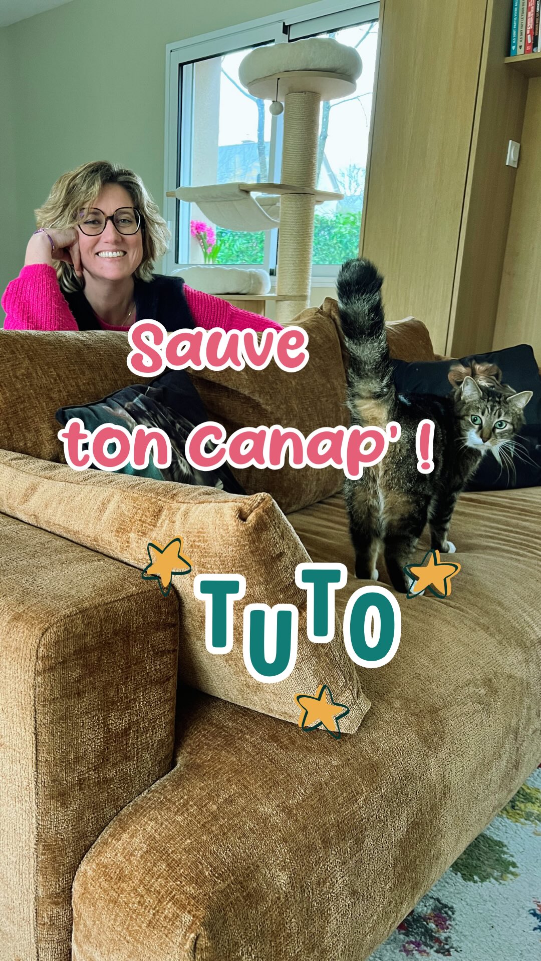 Quand tu ne peux pas empêcher ton chat de faire un comportement qui est naturel pour lui,
Il faut le rediriger sur un support adapté !
Le canapé est souvent une victime toute désignée pour les griffes de ton chat alors je te montre comment le sauver des griffes acérées de Minet.
Dis moi en commentaires ce que tu penses de cette astuce, et si tu en as d’autres, je suis preneuse !
#entrechatetmoi #conseilschat #griffadescanapé #comportementalistefelin #rennes